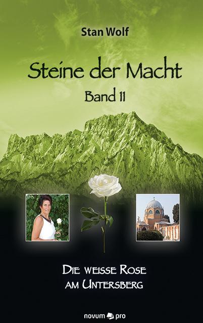 Vorderes Coverbild Steine der Macht - Band 11