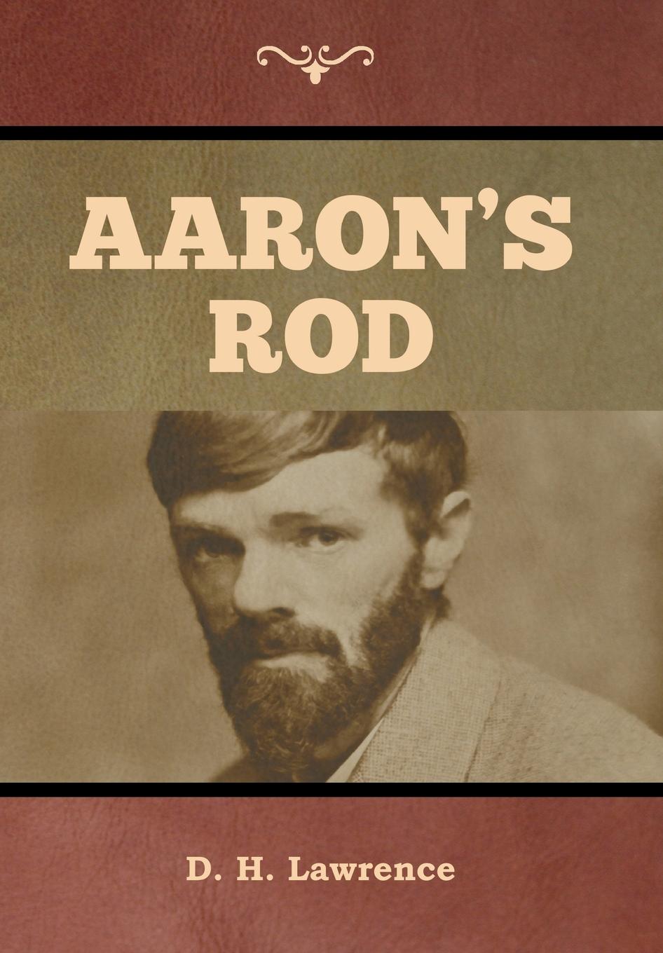 Vorderes Coverbild Aaron's Rod