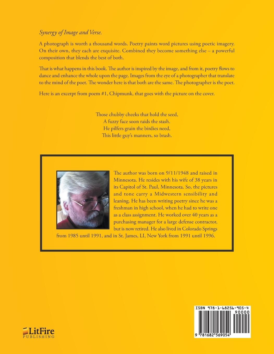 Rückseitencover Picture Poems Volume 2