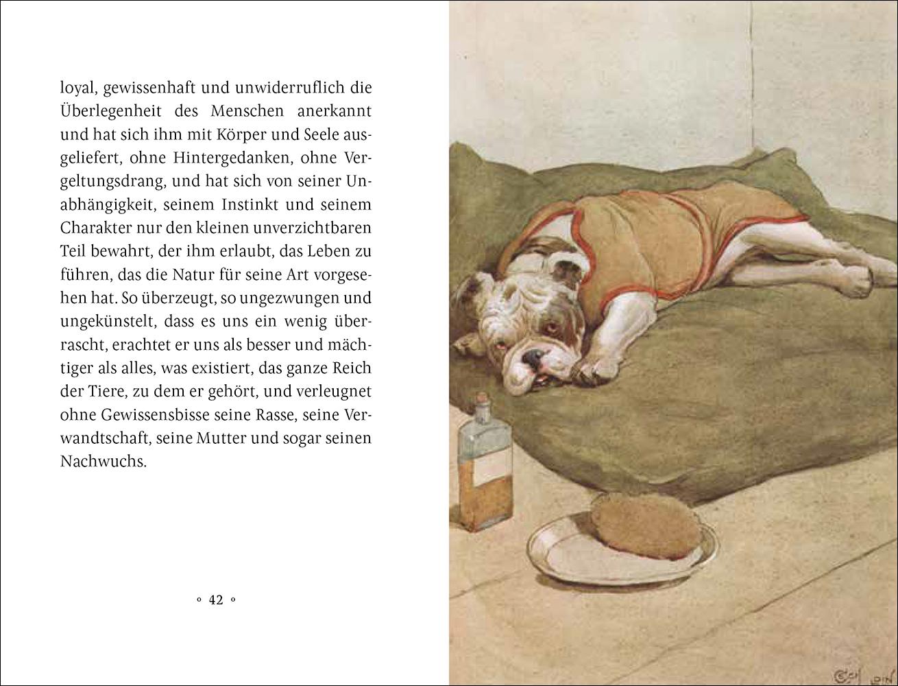 Beispielinhalt (Bild) Mein Hund
