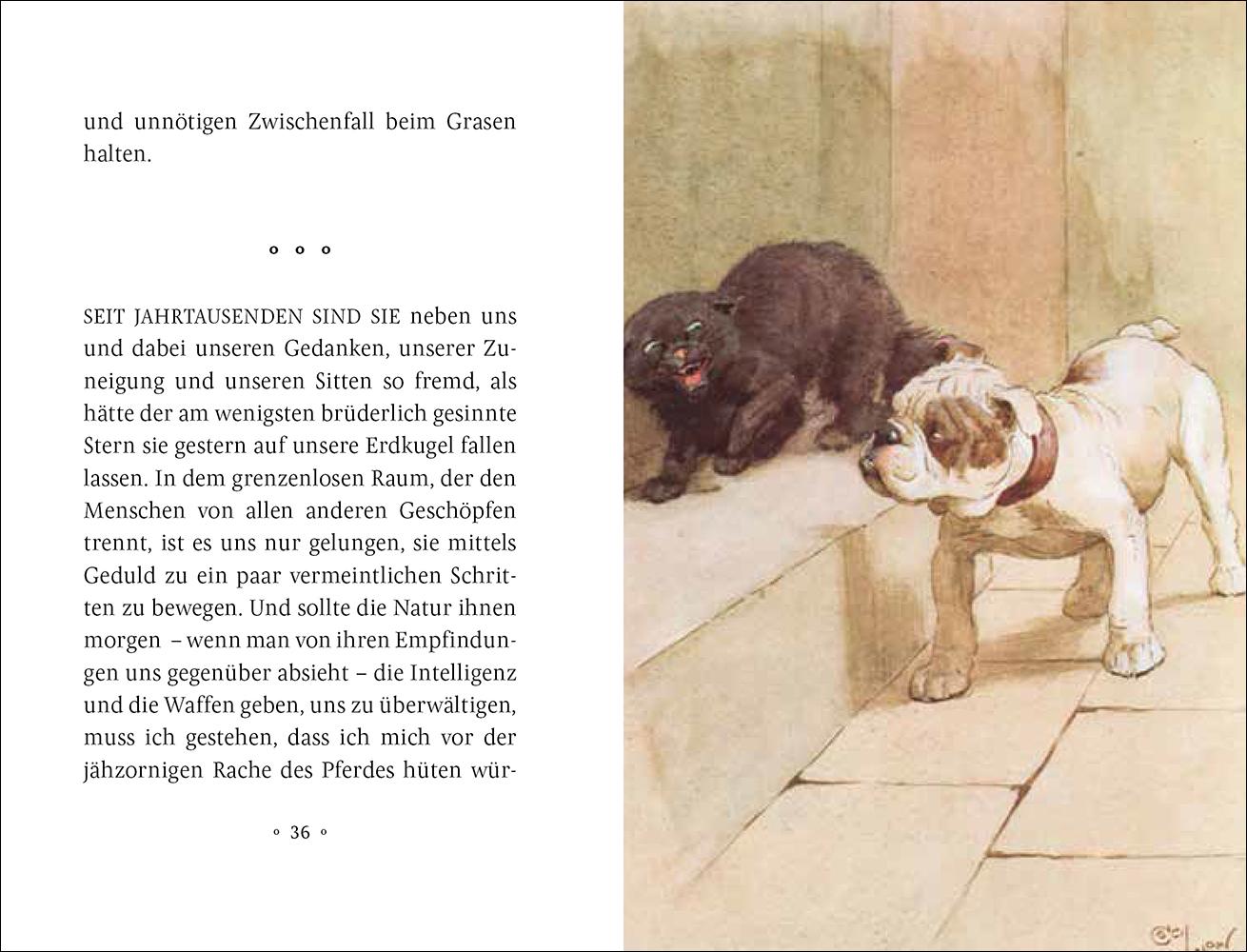 Beispielinhalt (Bild) Mein Hund
