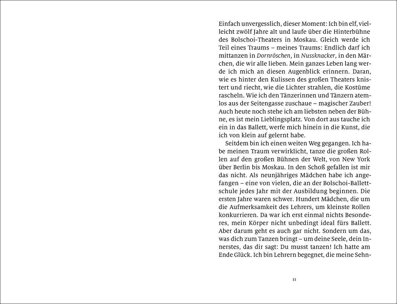 Beispielinhalt (Bild) Delphine über den Dächern