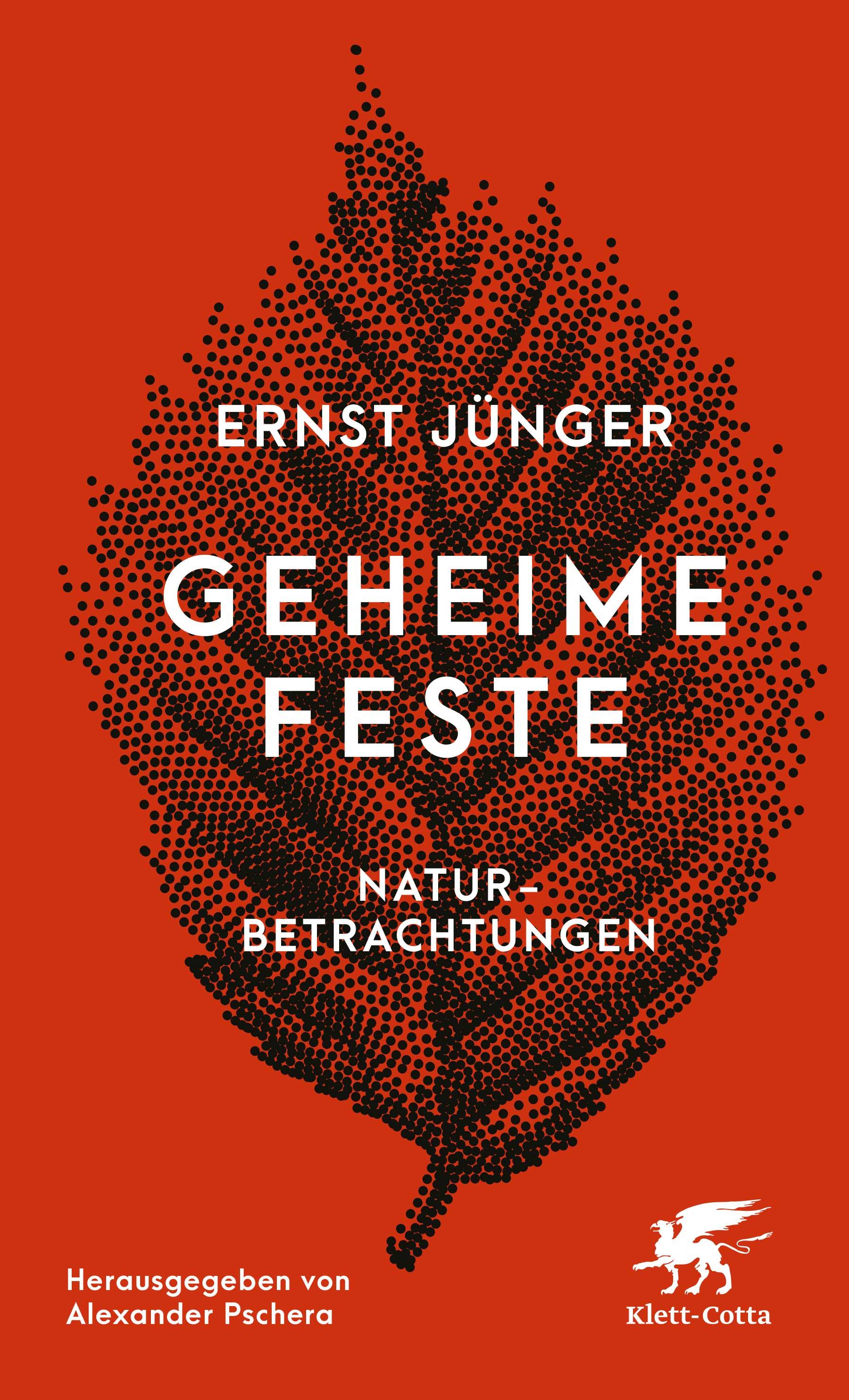 Vorderes Coverbild Geheime Feste