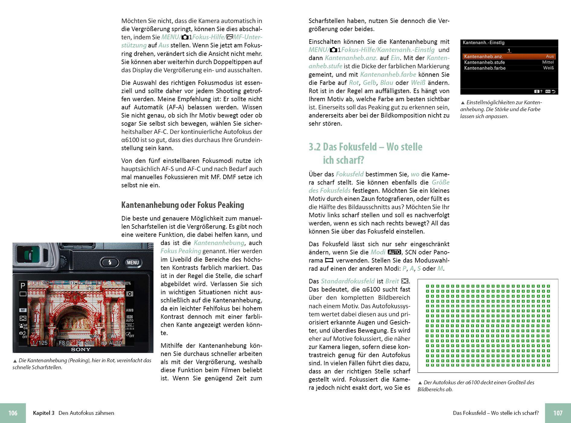 Beispielinhalt (Bild) Sony A6100
