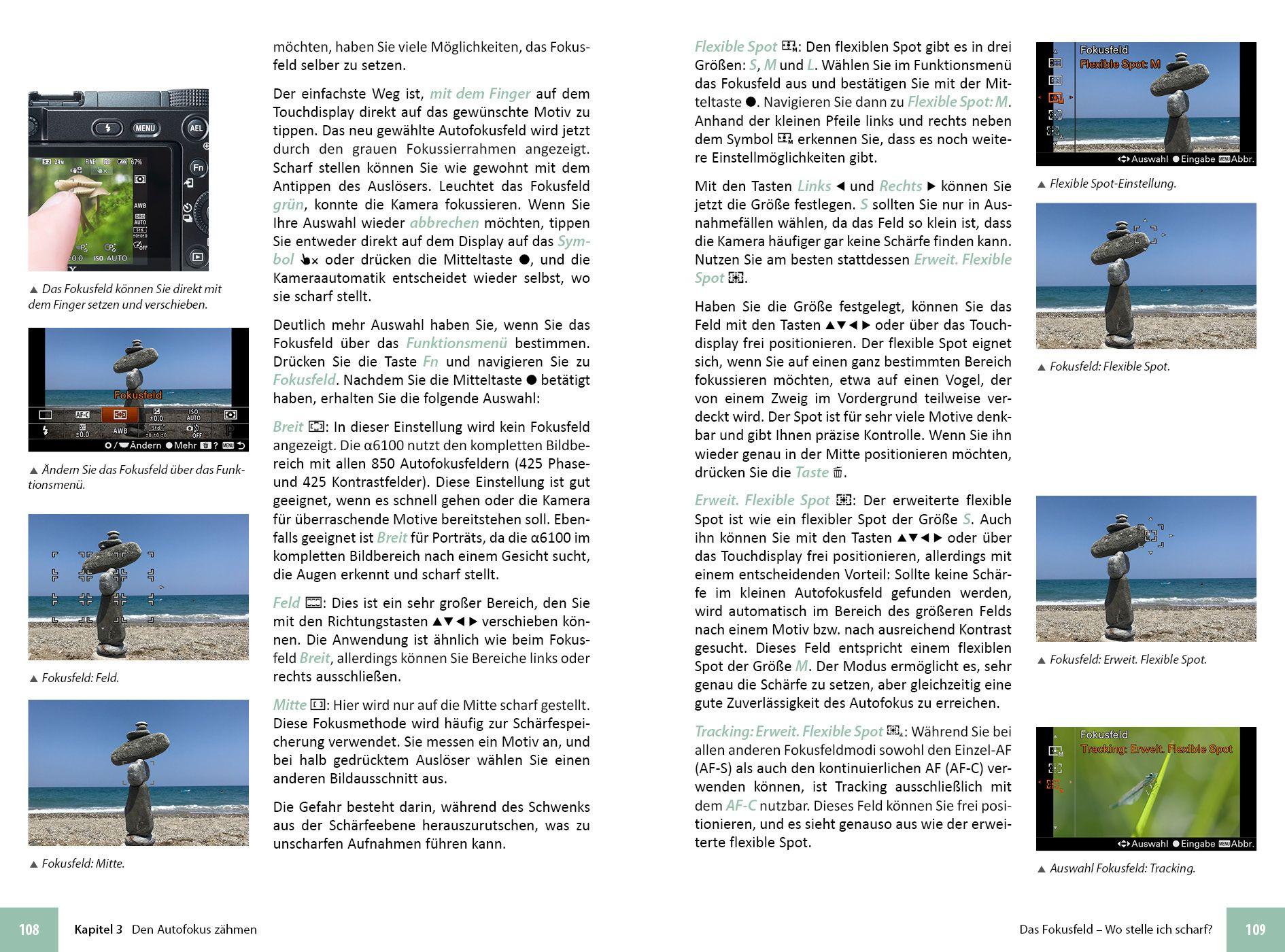 Beispielinhalt (Bild) Sony A6100