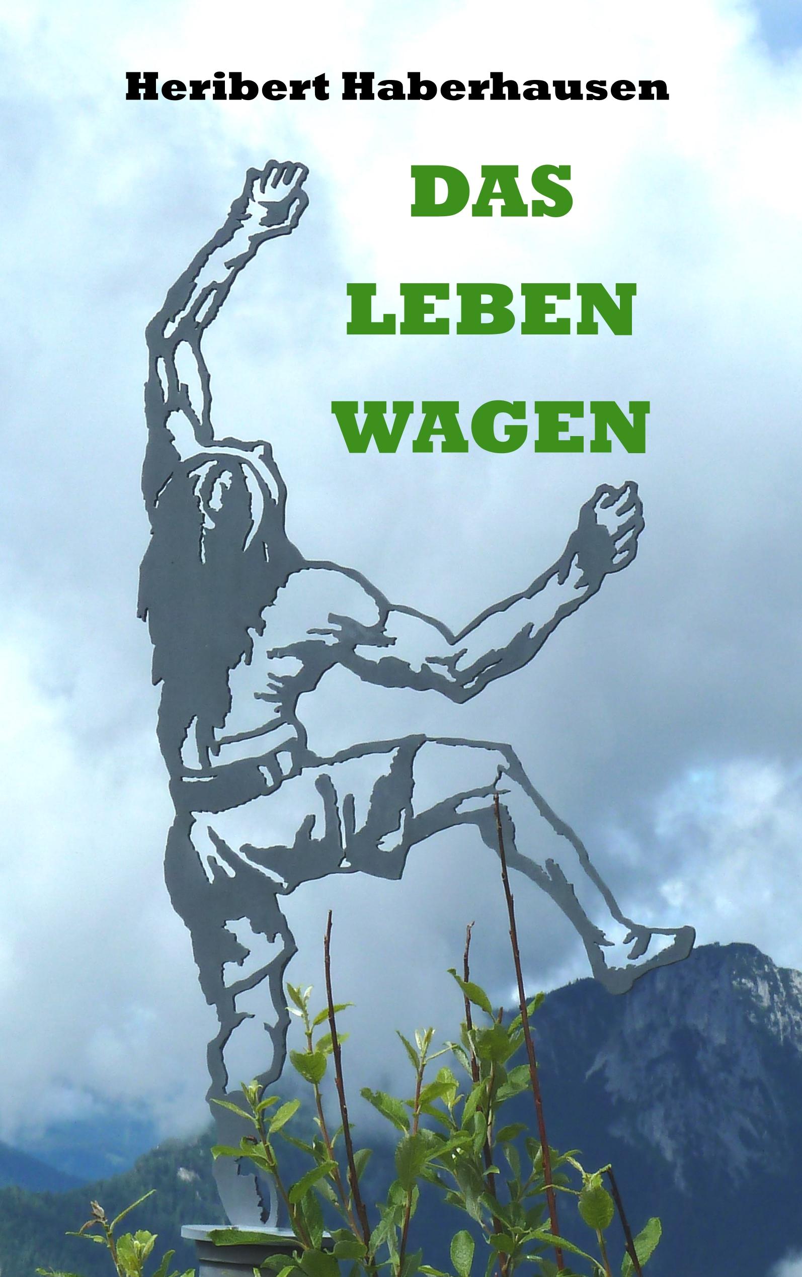 Vorderes Coverbild Das Leben wagen