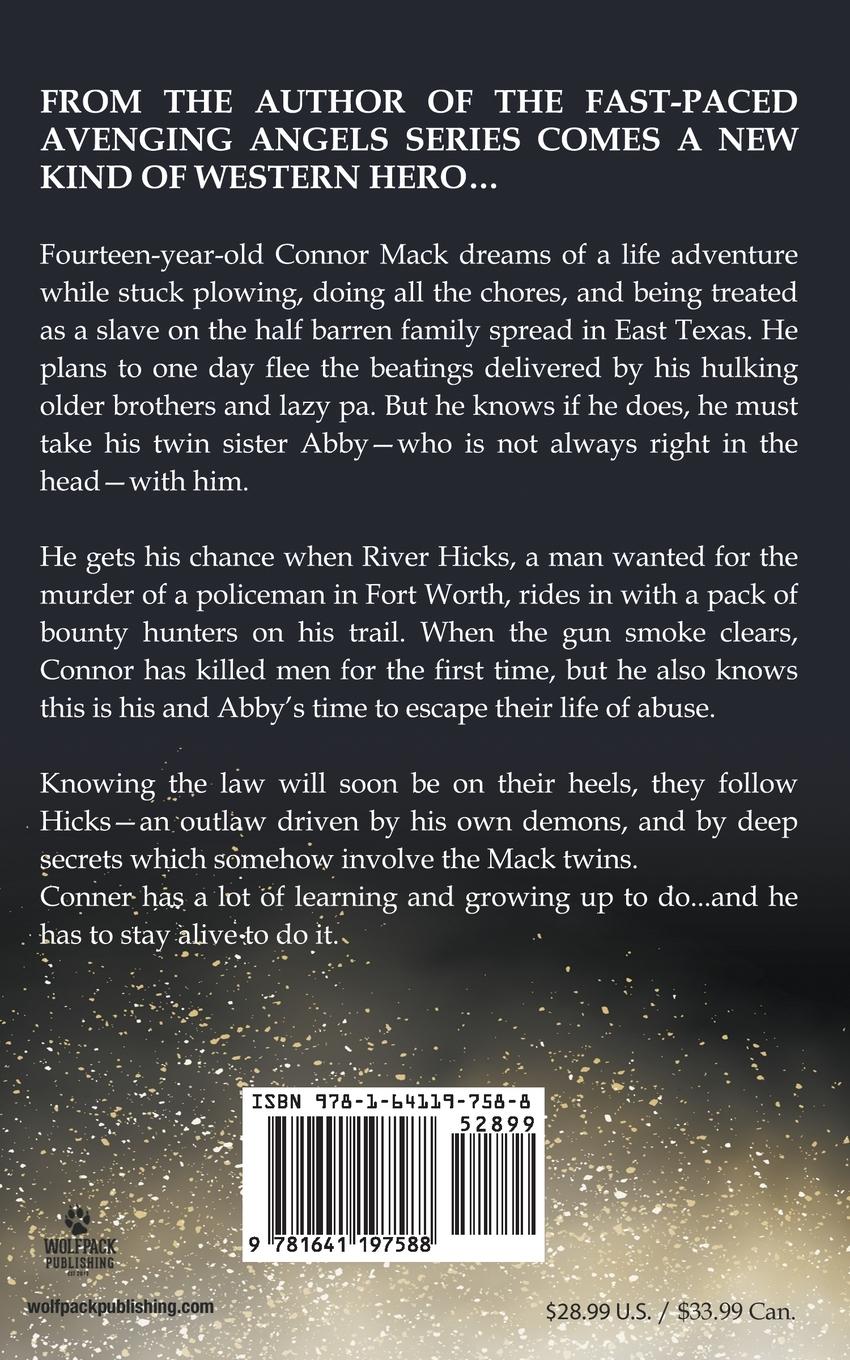 Rückseitencover Gunslinger