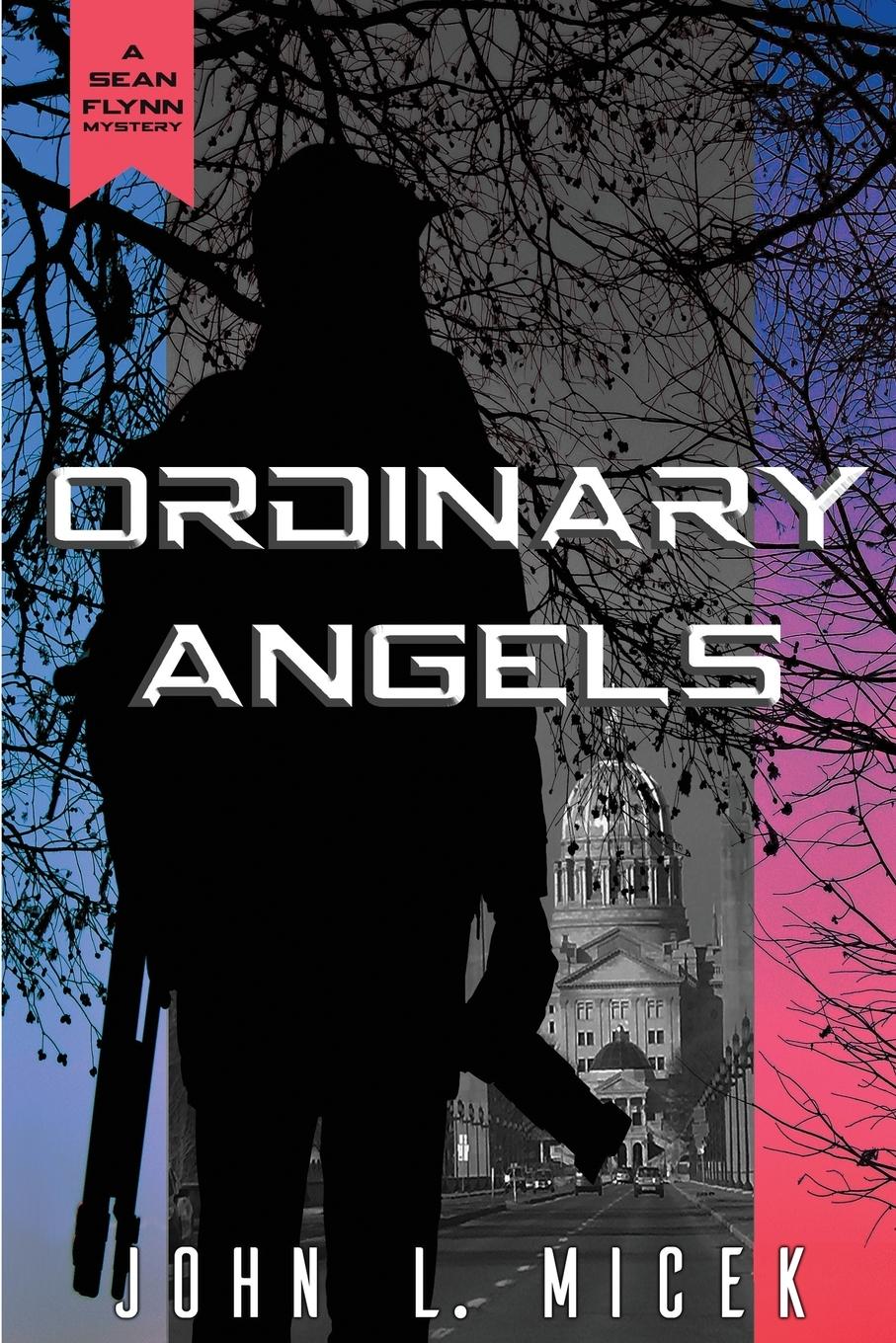 Vorderes Coverbild Ordinary Angels