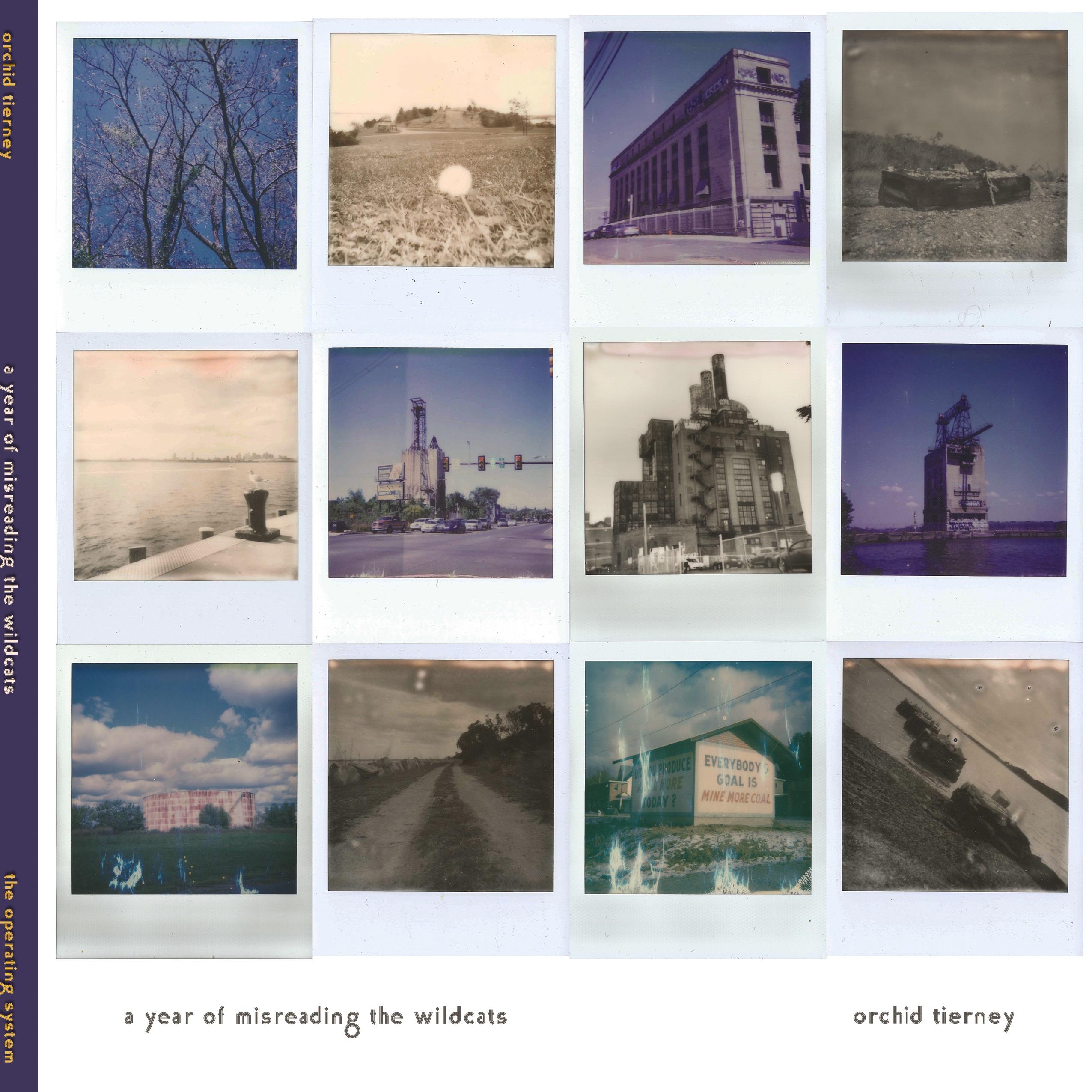 Vorderes Coverbild A Year of Misreading the Wildcats