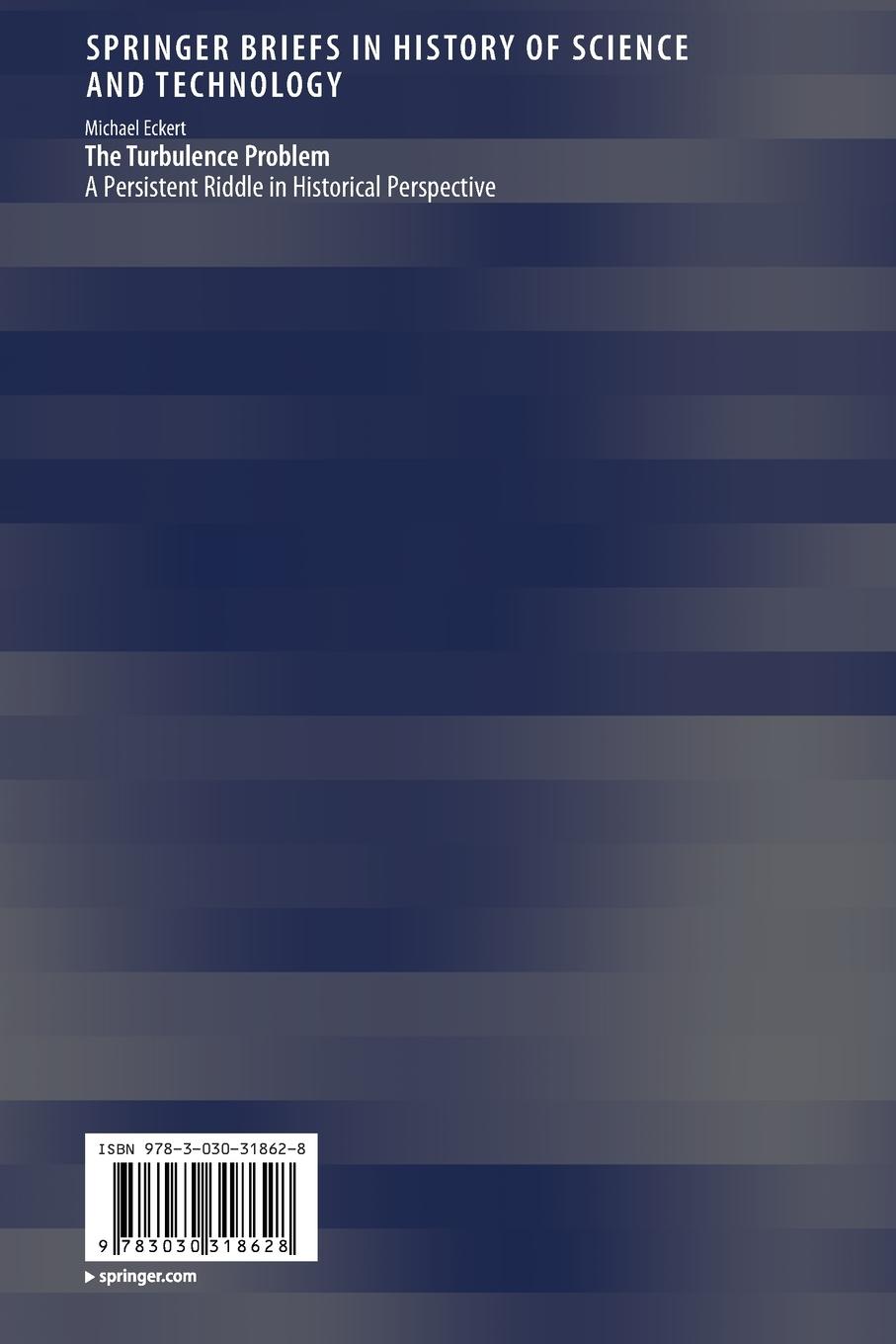 Rückseitencover The Turbulence Problem