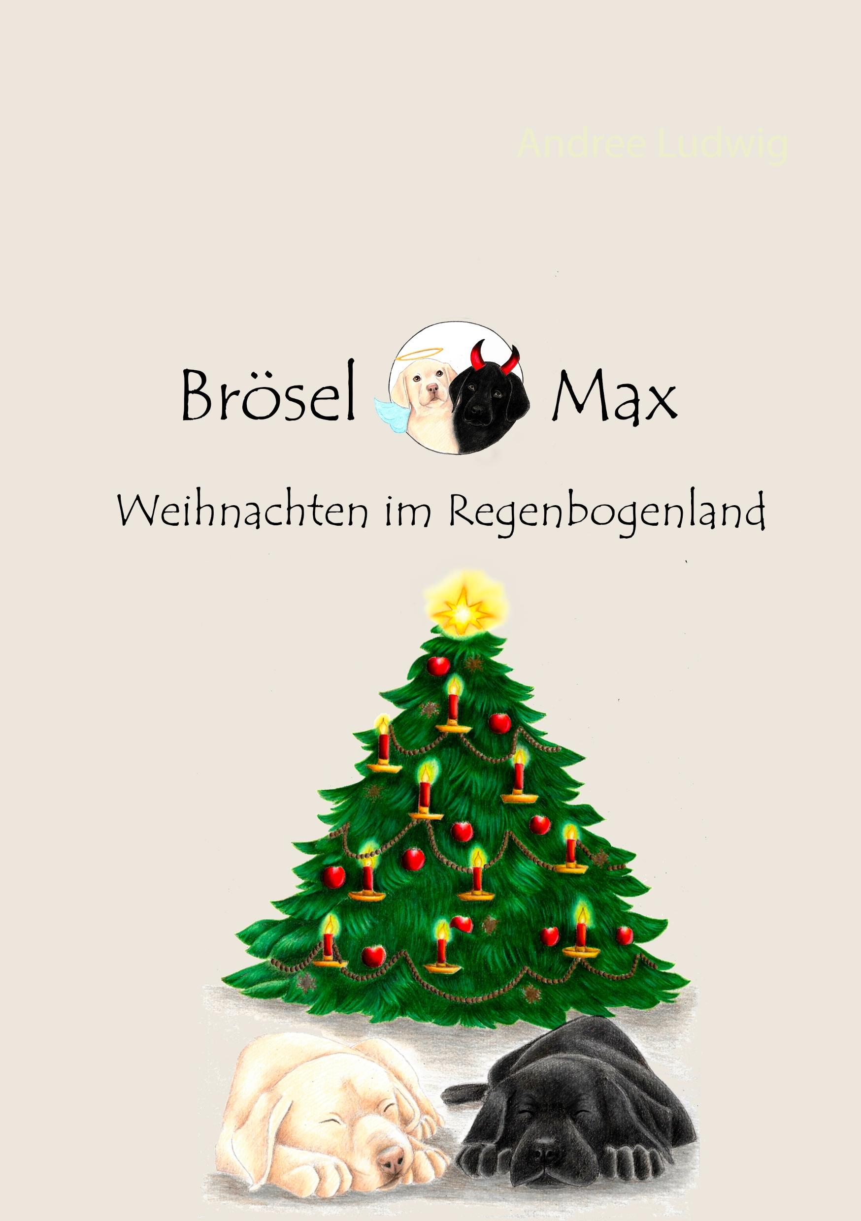 Vorderes Coverbild Brösel & Max
