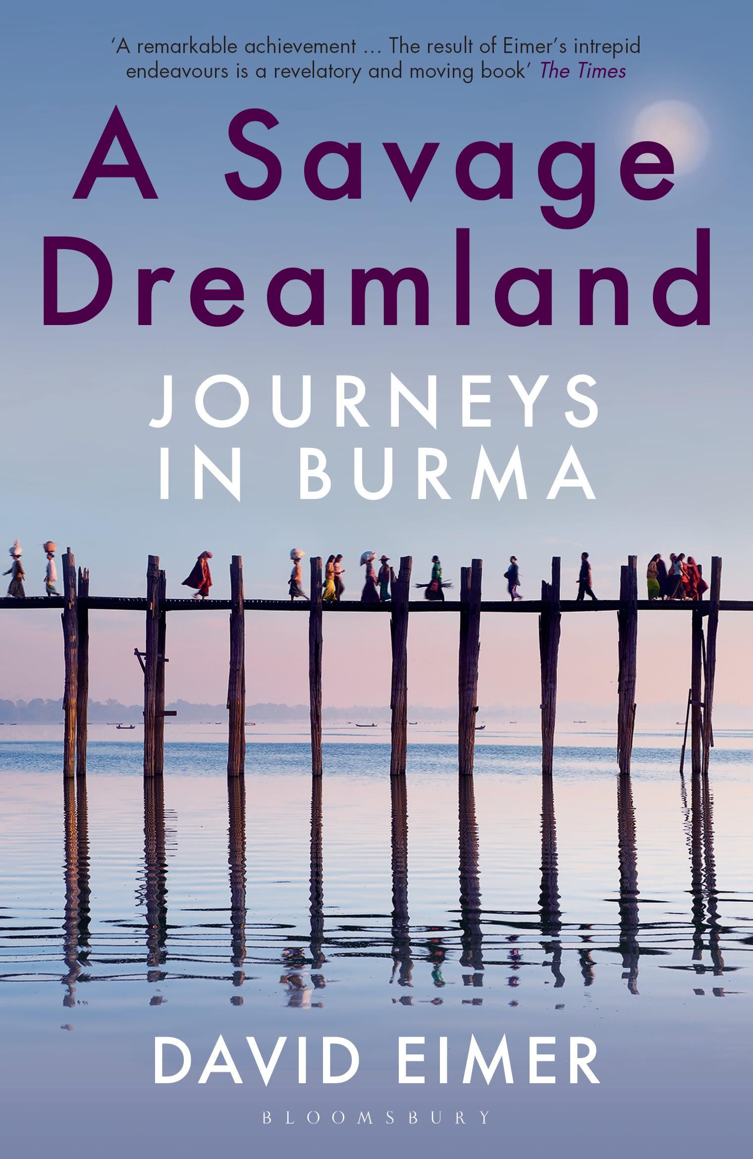 Vorderes Coverbild A Savage Dreamland