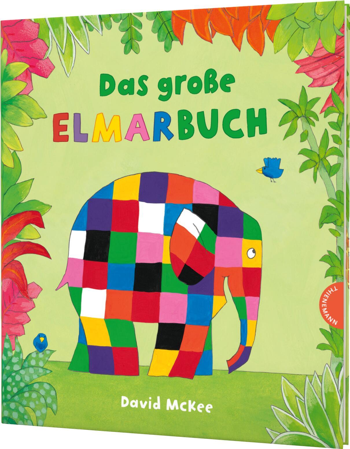 Vorderes Coverbild Elmar: Das große Elmarbuch