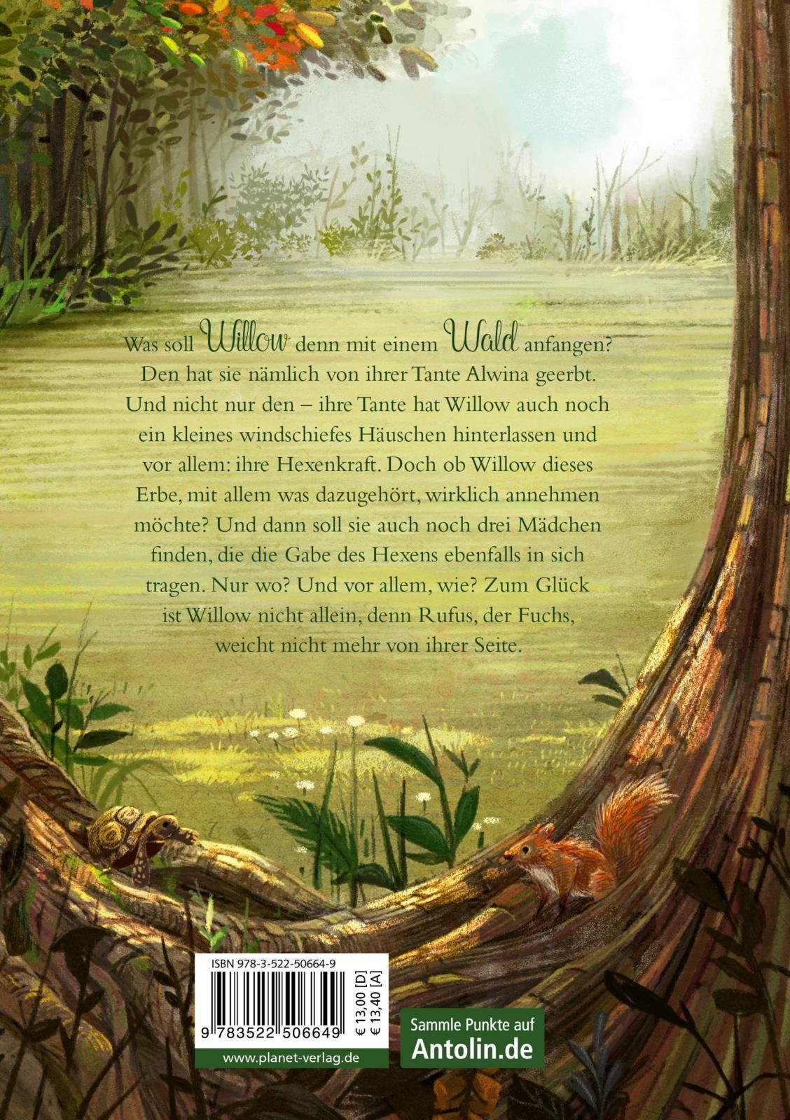 Rückseitencover Ein Mädchen namens Willow 1: Ein Mädchen namens Willow