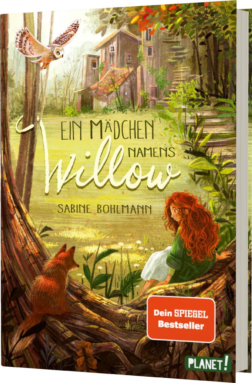 Vorderes Coverbild Ein Mädchen namens Willow 1: Ein Mädchen namens Willow