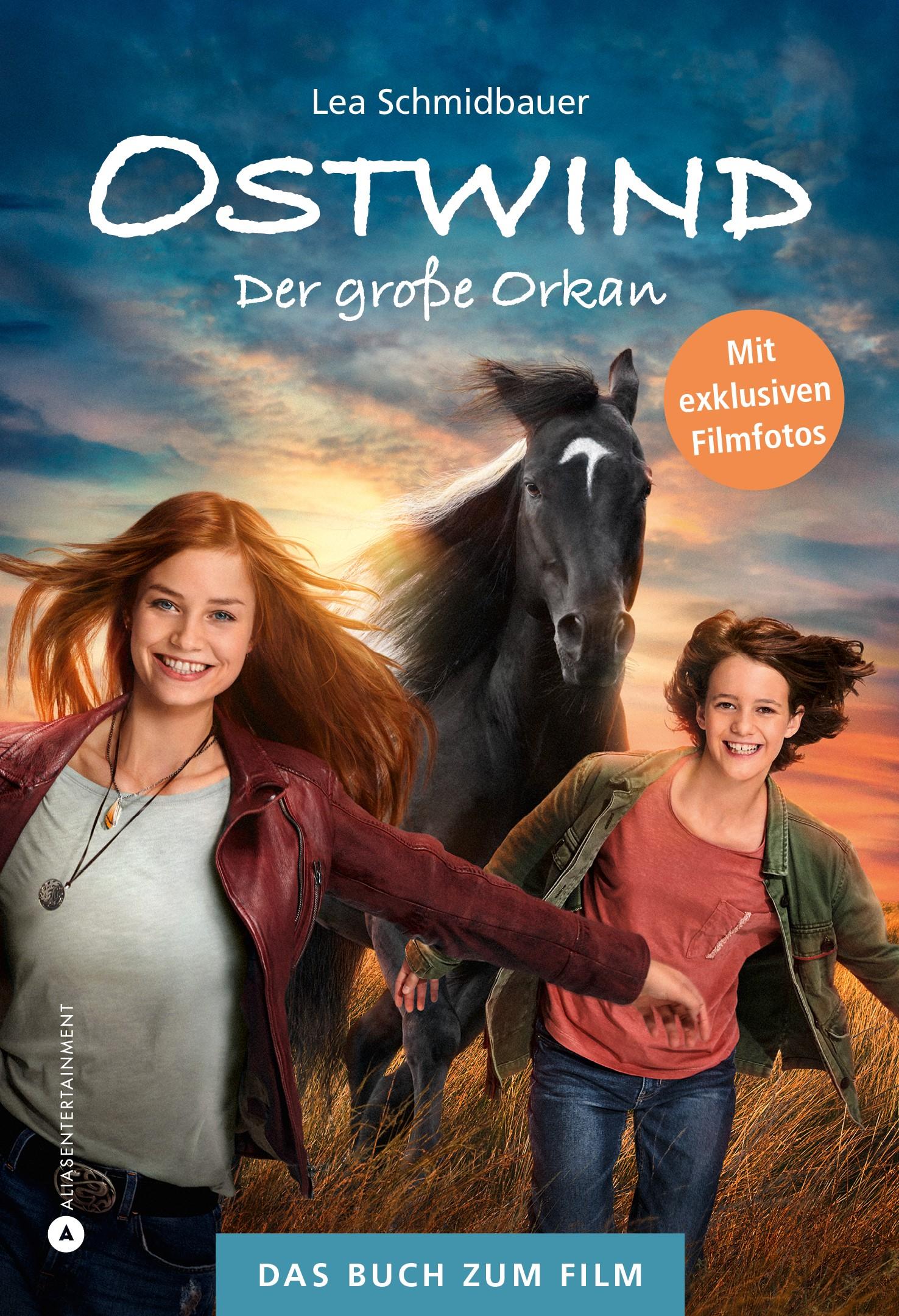 Vorderes Coverbild Ostwind - Der große Orkan