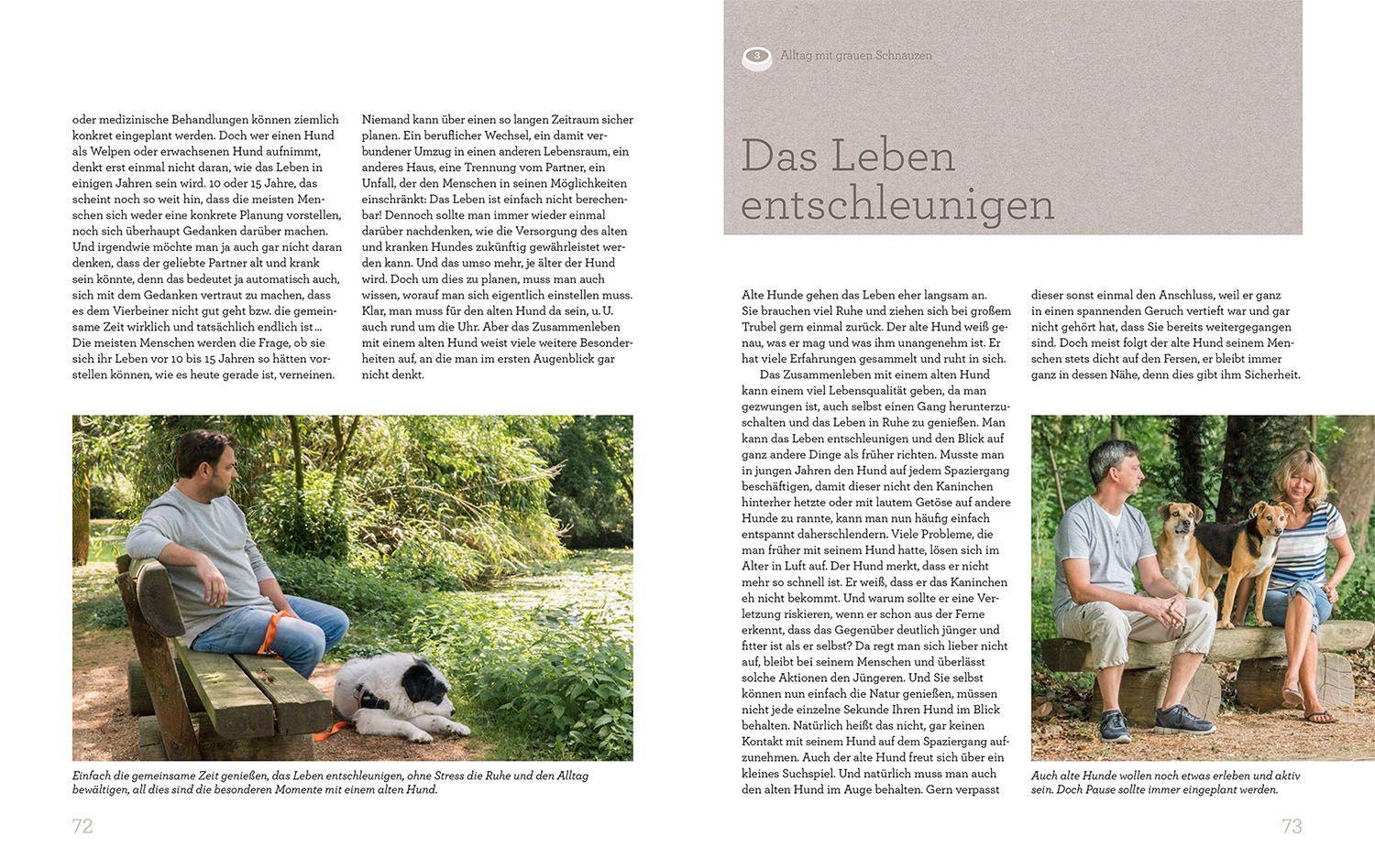 Beispielinhalt (Bild) Hundesenioren mit Martin Rütter