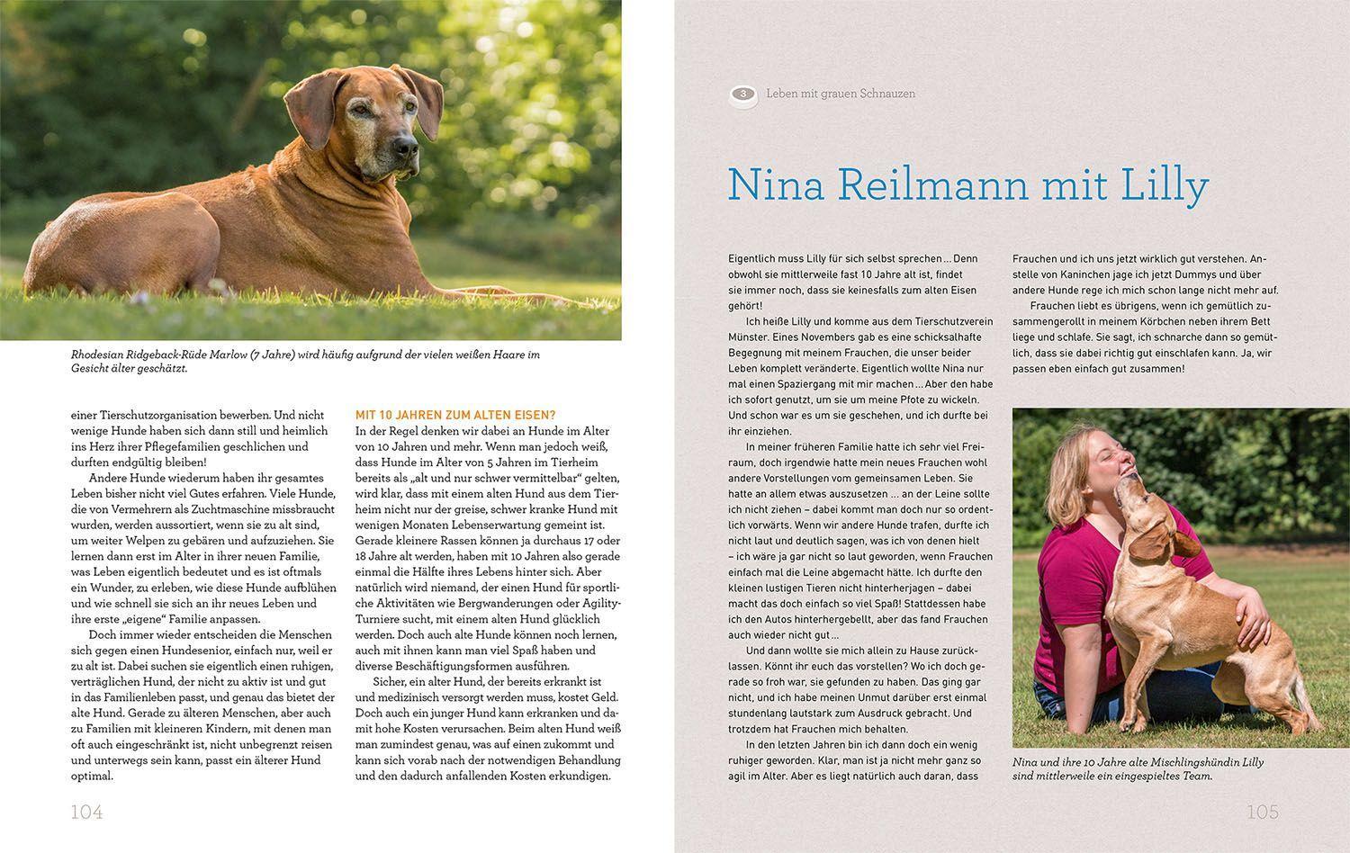 Beispielinhalt (Bild) Hundesenioren mit Martin Rütter