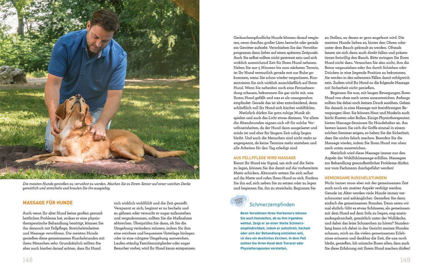 Beispielinhalt (Bild) Hundesenioren mit Martin Rütter