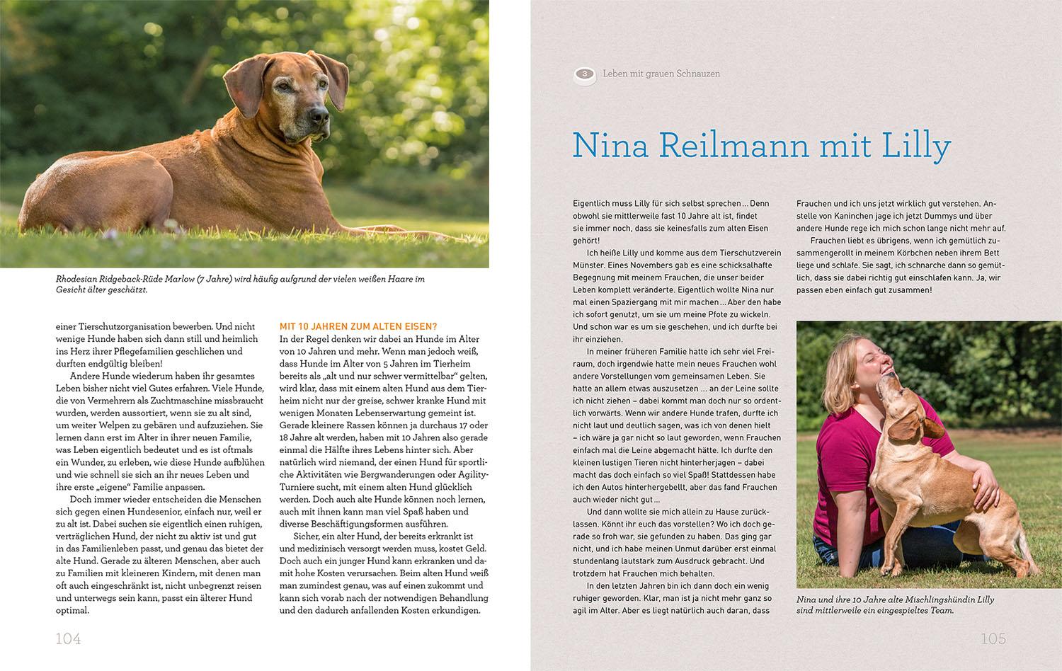 Beispielinhalt (Bild) Hundesenioren mit Martin Rütter