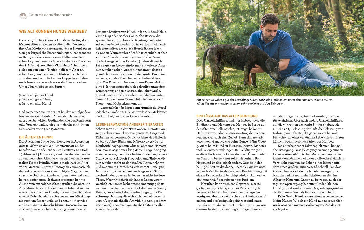 Beispielinhalt (Bild) Hundesenioren mit Martin Rütter