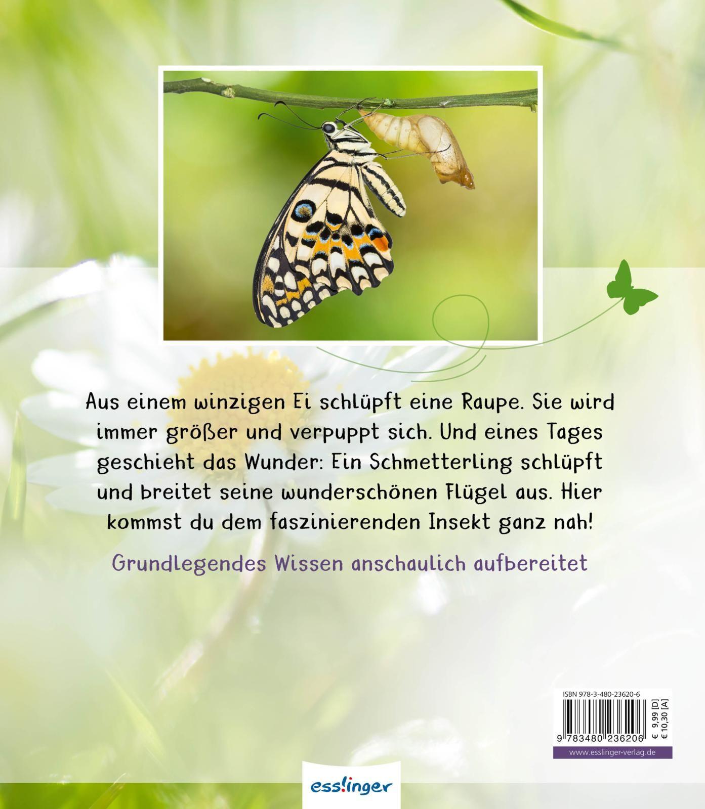 Rückseitencover Meine große Tierbibliothek: Der Schmetterling