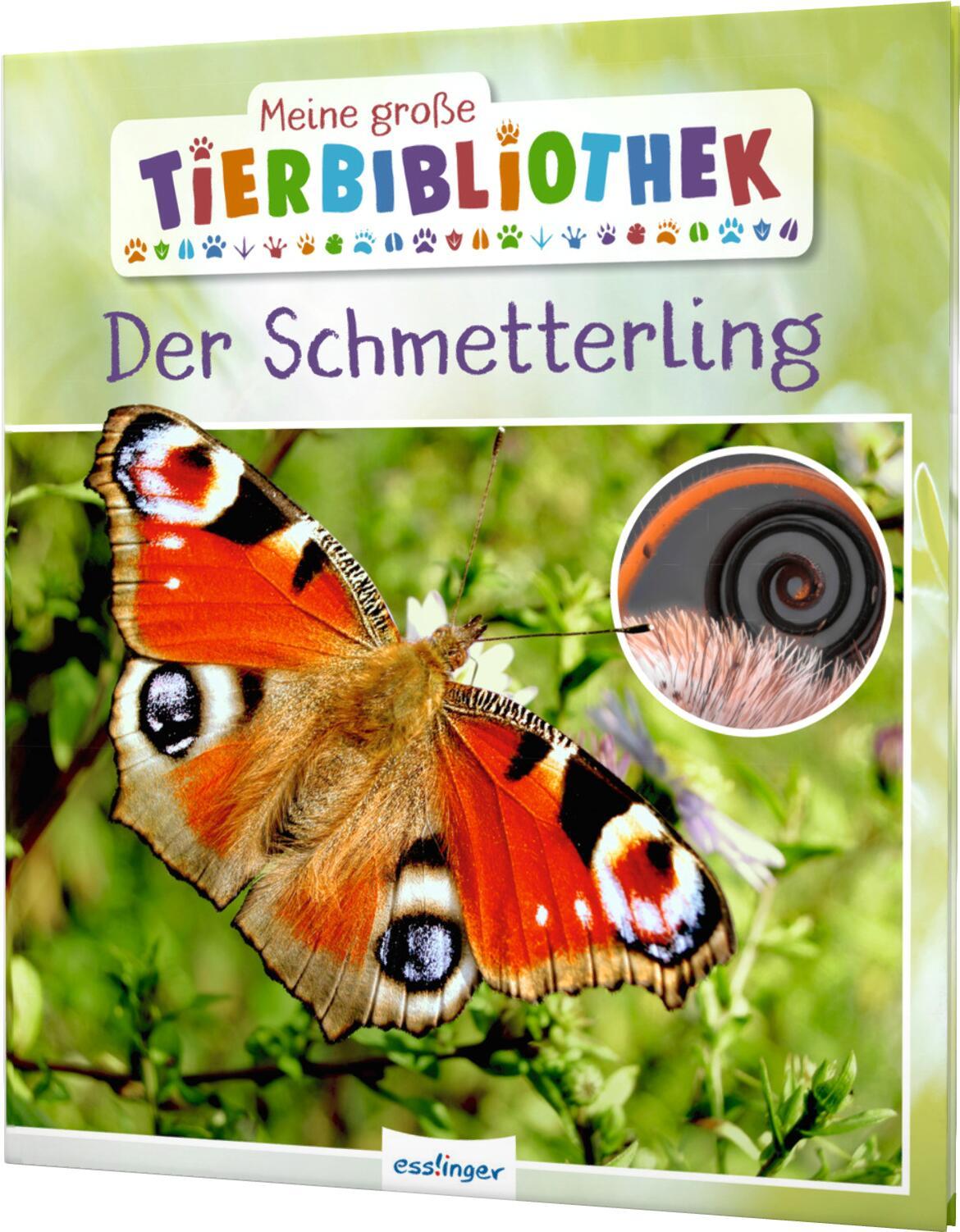 Vorderes Coverbild Meine große Tierbibliothek: Der Schmetterling