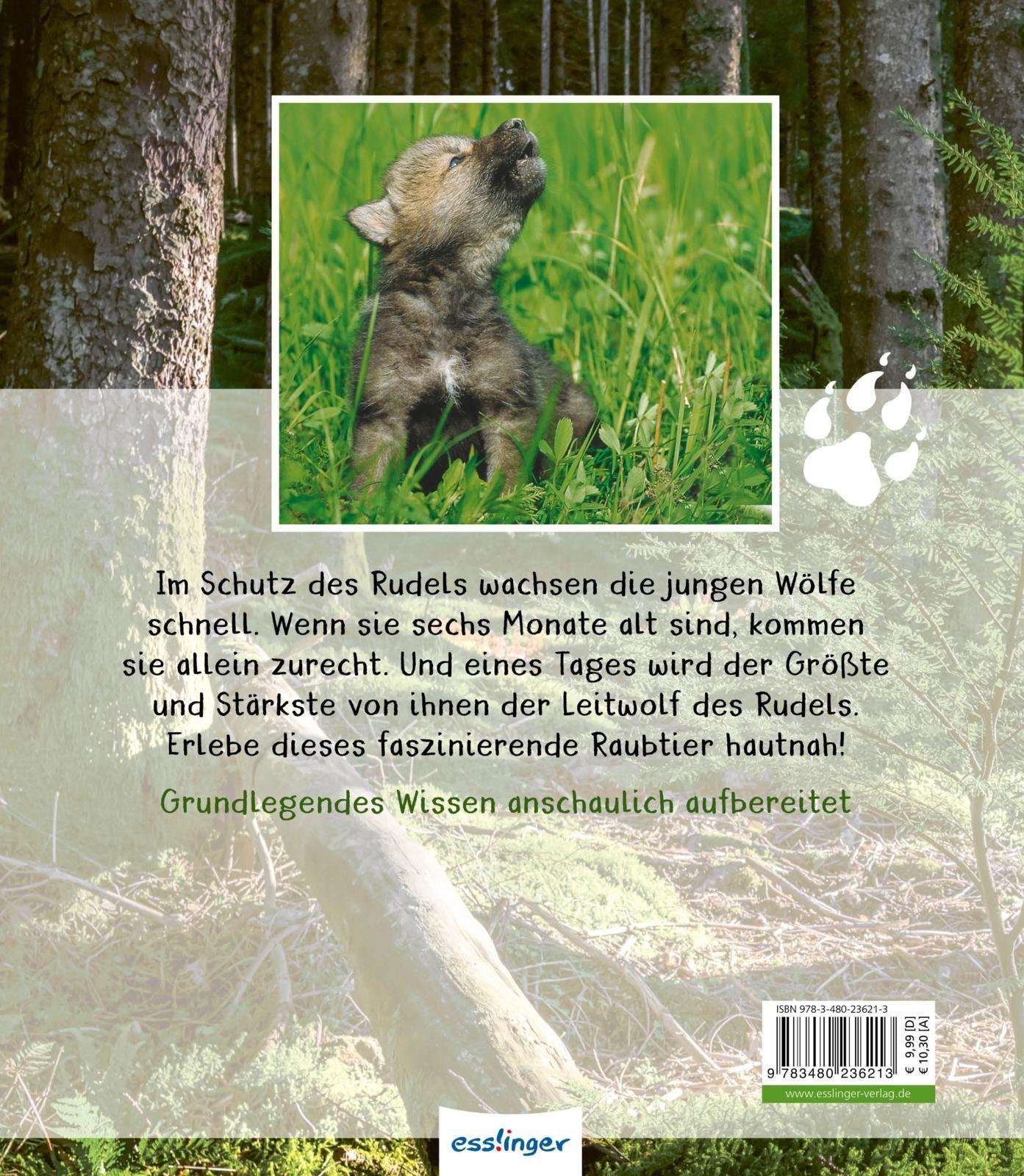 Rückseitencover Meine große Tierbibliothek: Der Wolf
