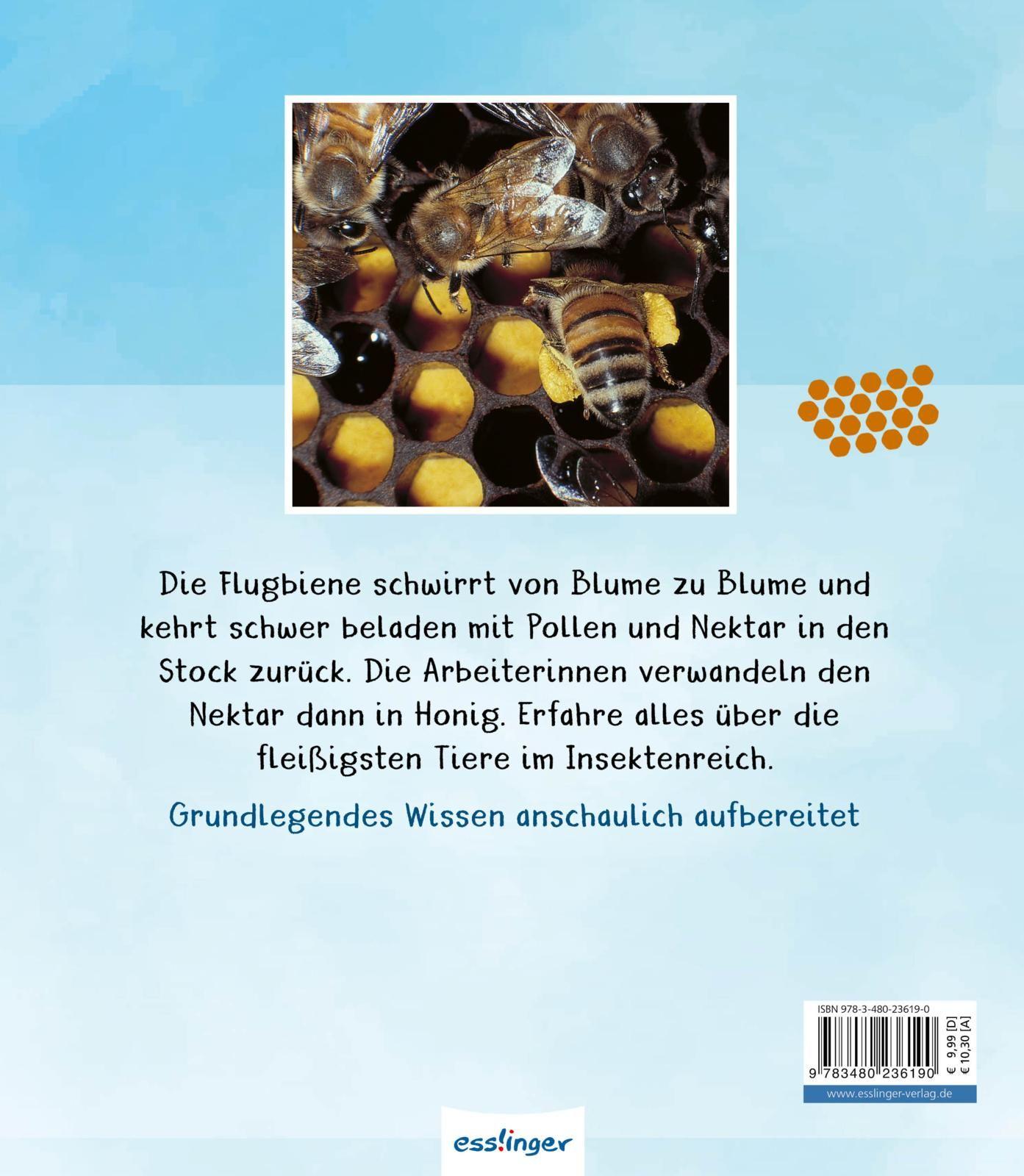 Rückseitencover Meine große Tierbibliothek: Die Biene