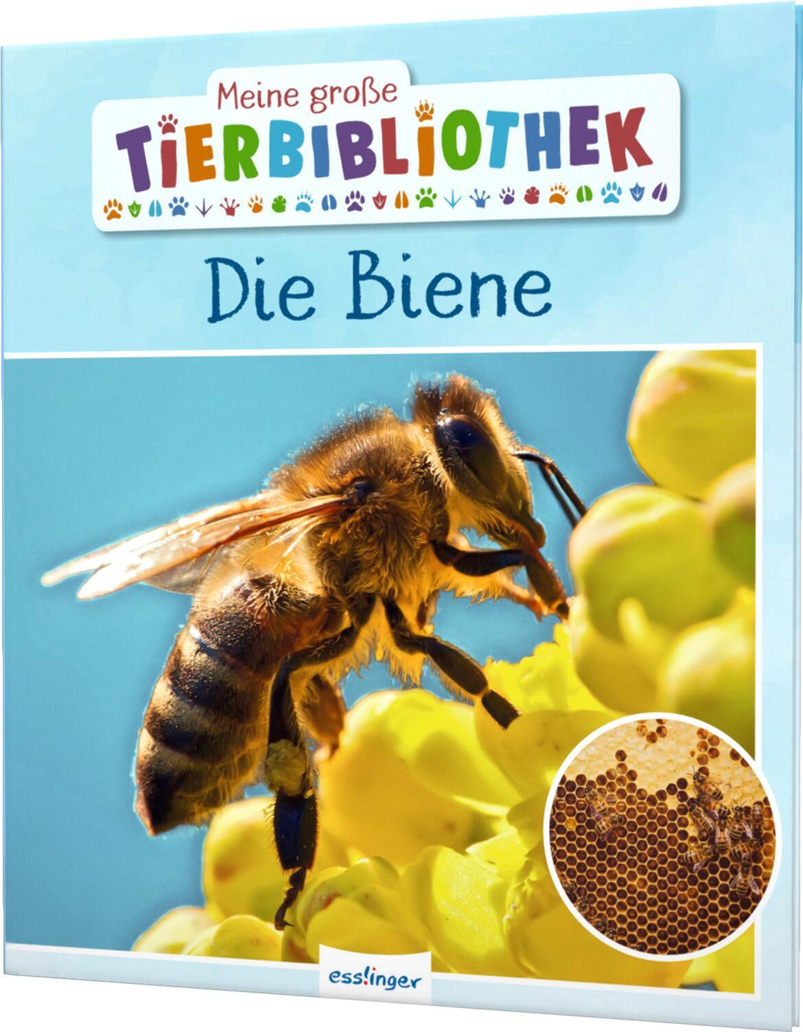 Vorderes Coverbild Meine große Tierbibliothek: Die Biene