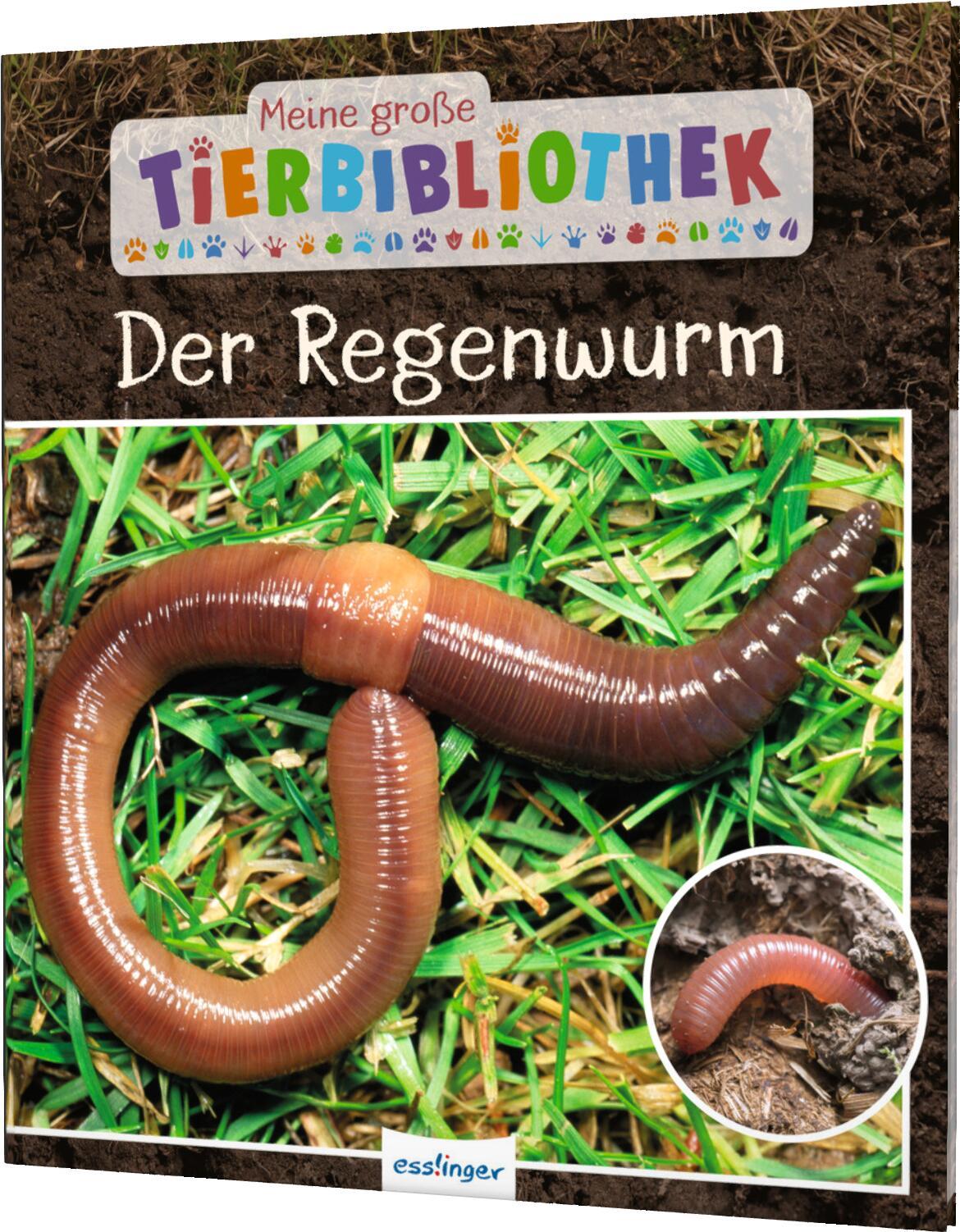 Vorderes Coverbild Meine große Tierbibliothek: Der Regenwurm