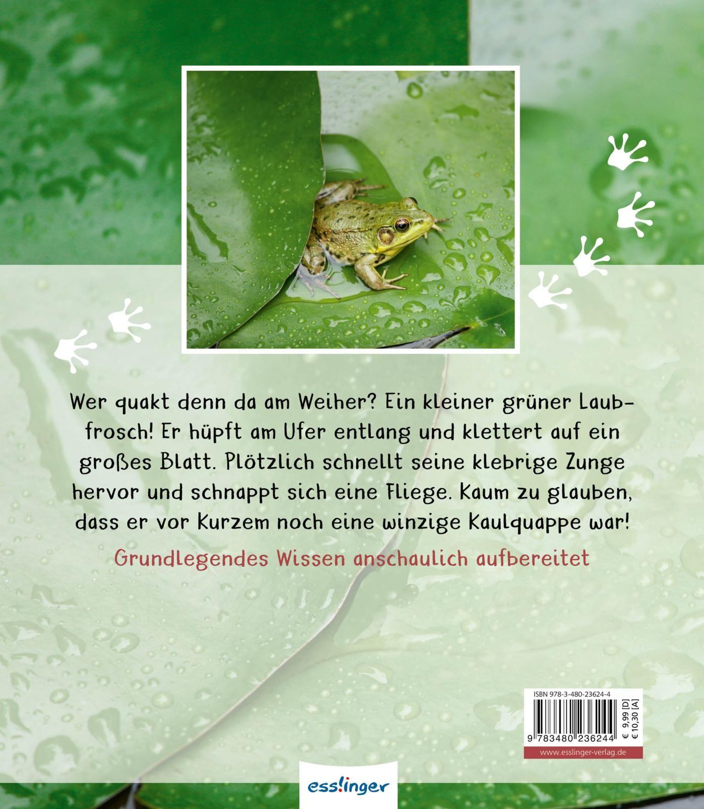 Rückseitencover Meine große Tierbibliothek: Der Frosch