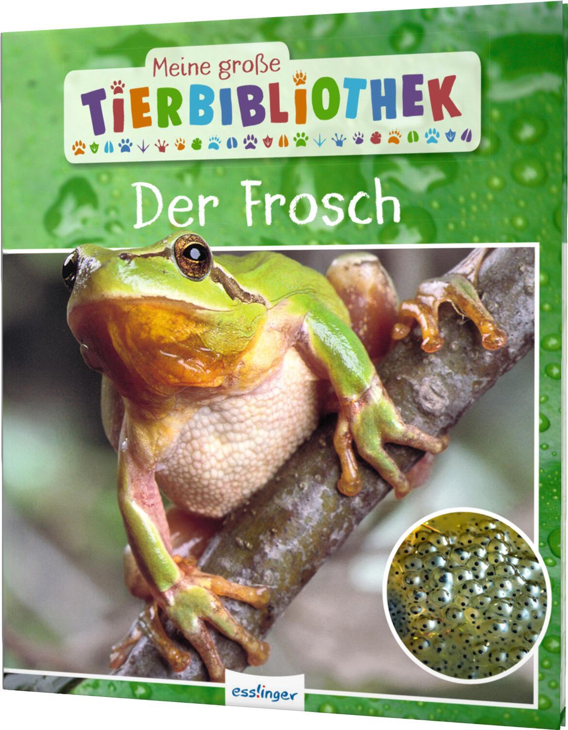 Vorderes Coverbild Meine große Tierbibliothek: Der Frosch