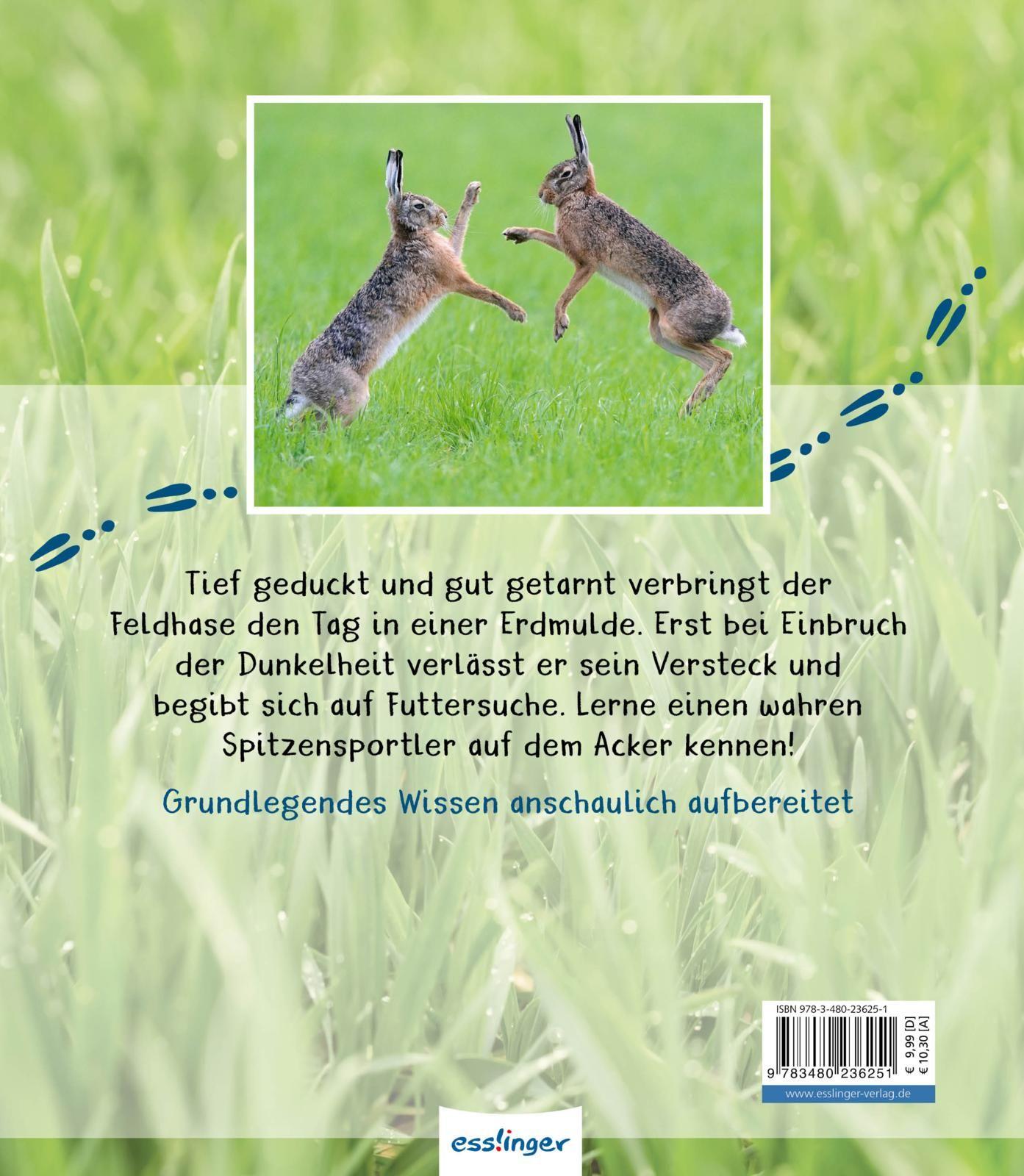 Rückseitencover Meine große Tierbibliothek: Der Hase