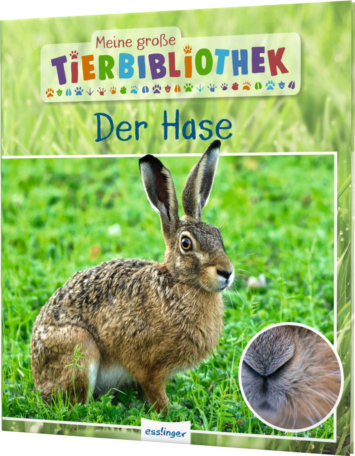 Vorderes Coverbild Meine große Tierbibliothek: Der Hase