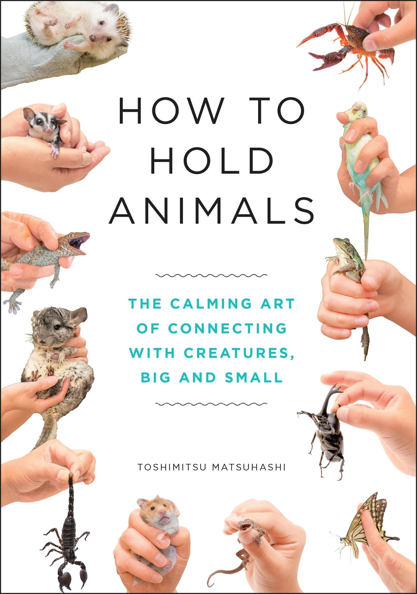 Vorderes Coverbild How to Hold Animals