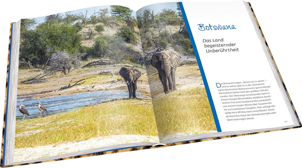 Beispielinhalt (Bild) Afrikas Süden