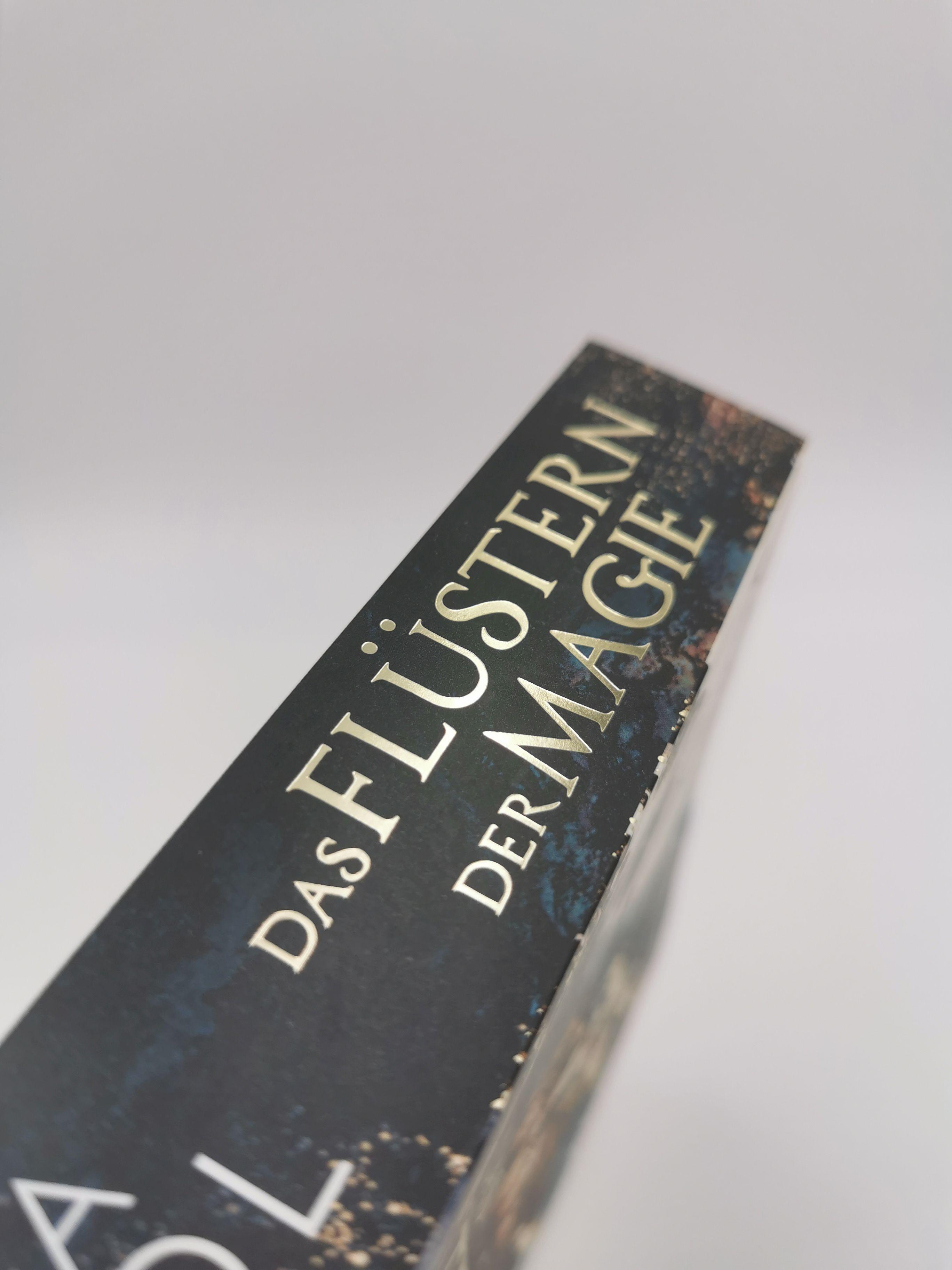 Beispielinhalt (Bild) Das Flüstern der Magie