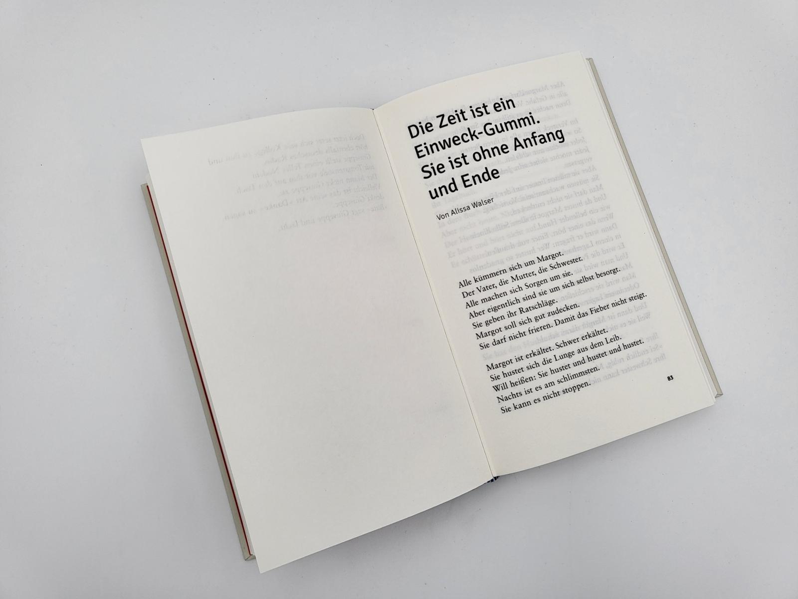 Beispielinhalt (Bild) LiES. Das Buch
