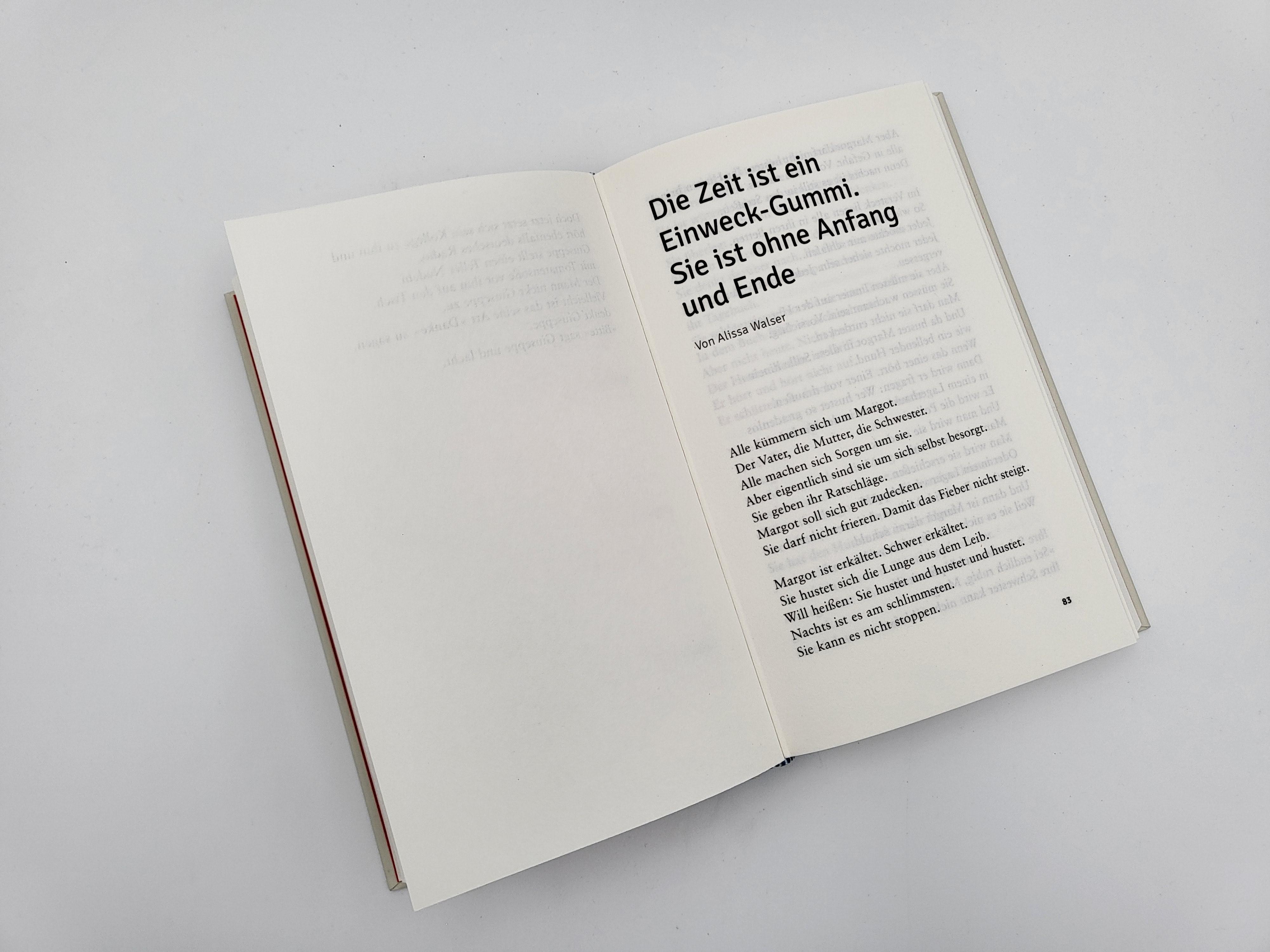 Beispielinhalt (Bild) LiES. Das Buch
