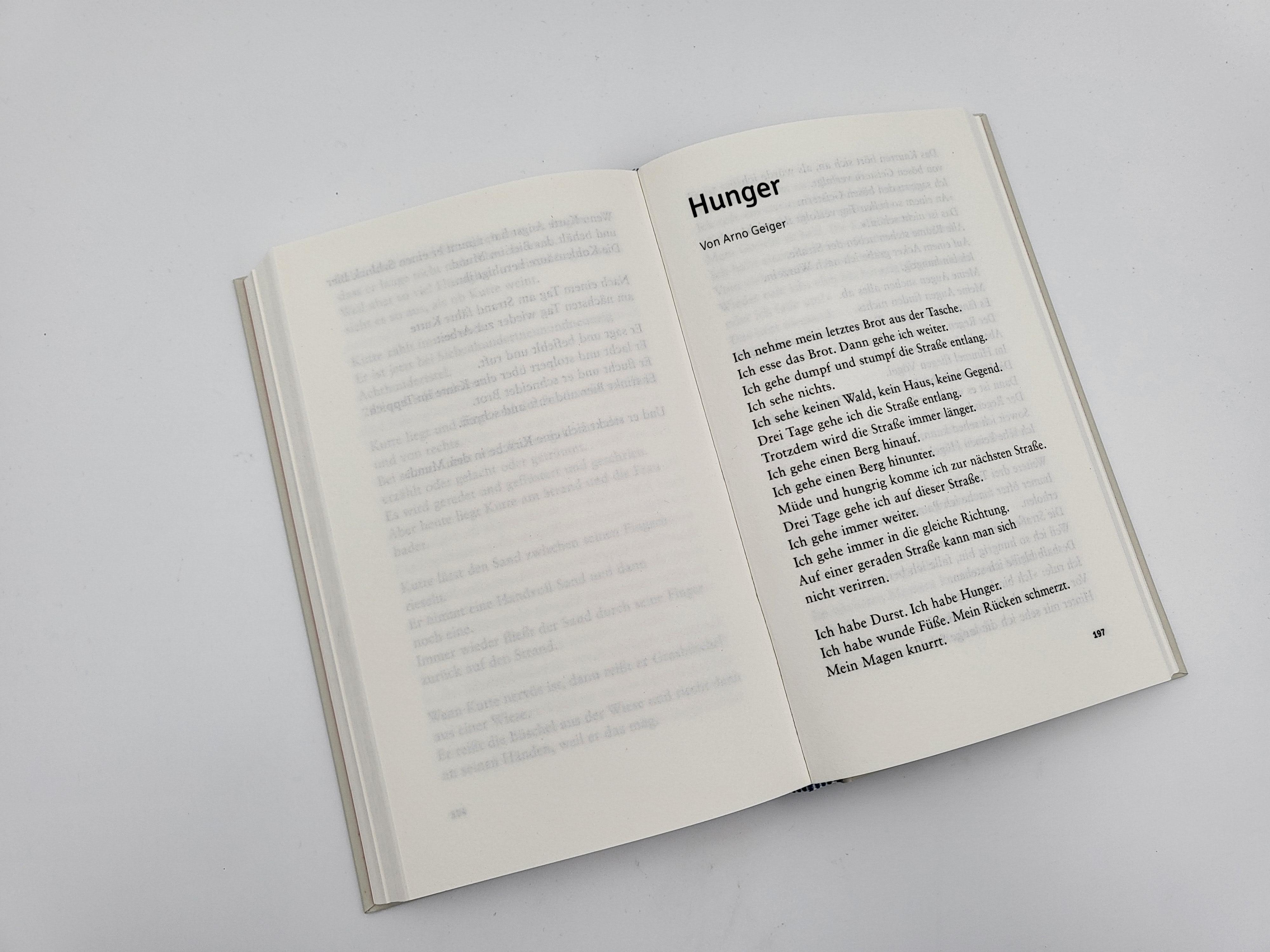 Beispielinhalt (Bild) LiES. Das Buch
