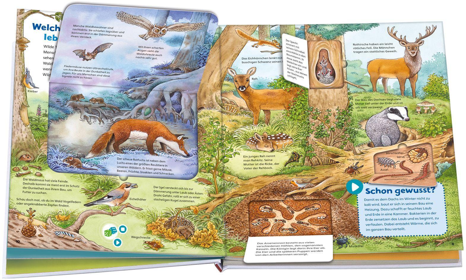 Beispielinhalt (Bild) BOOKii® WAS IST WAS Junior Erlebe die Natur!