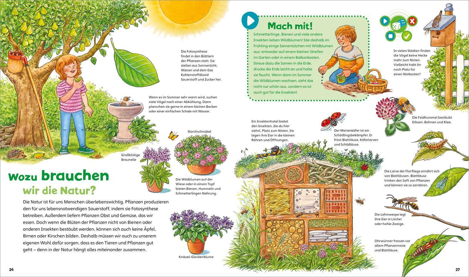 Beispielinhalt (Bild) BOOKii® WAS IST WAS Junior Erlebe die Natur!