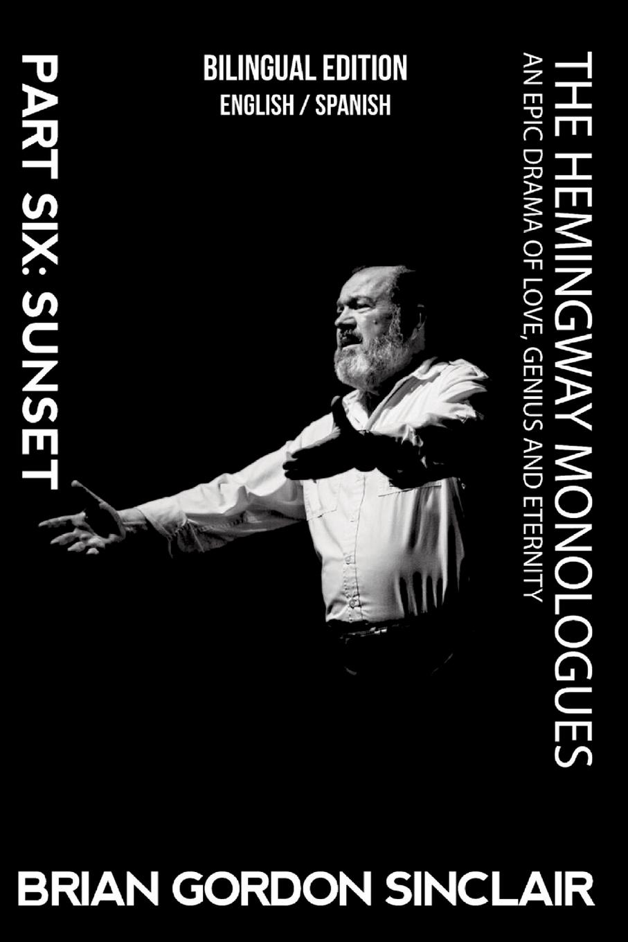 Vorderes Coverbild The Hemingway Monologues