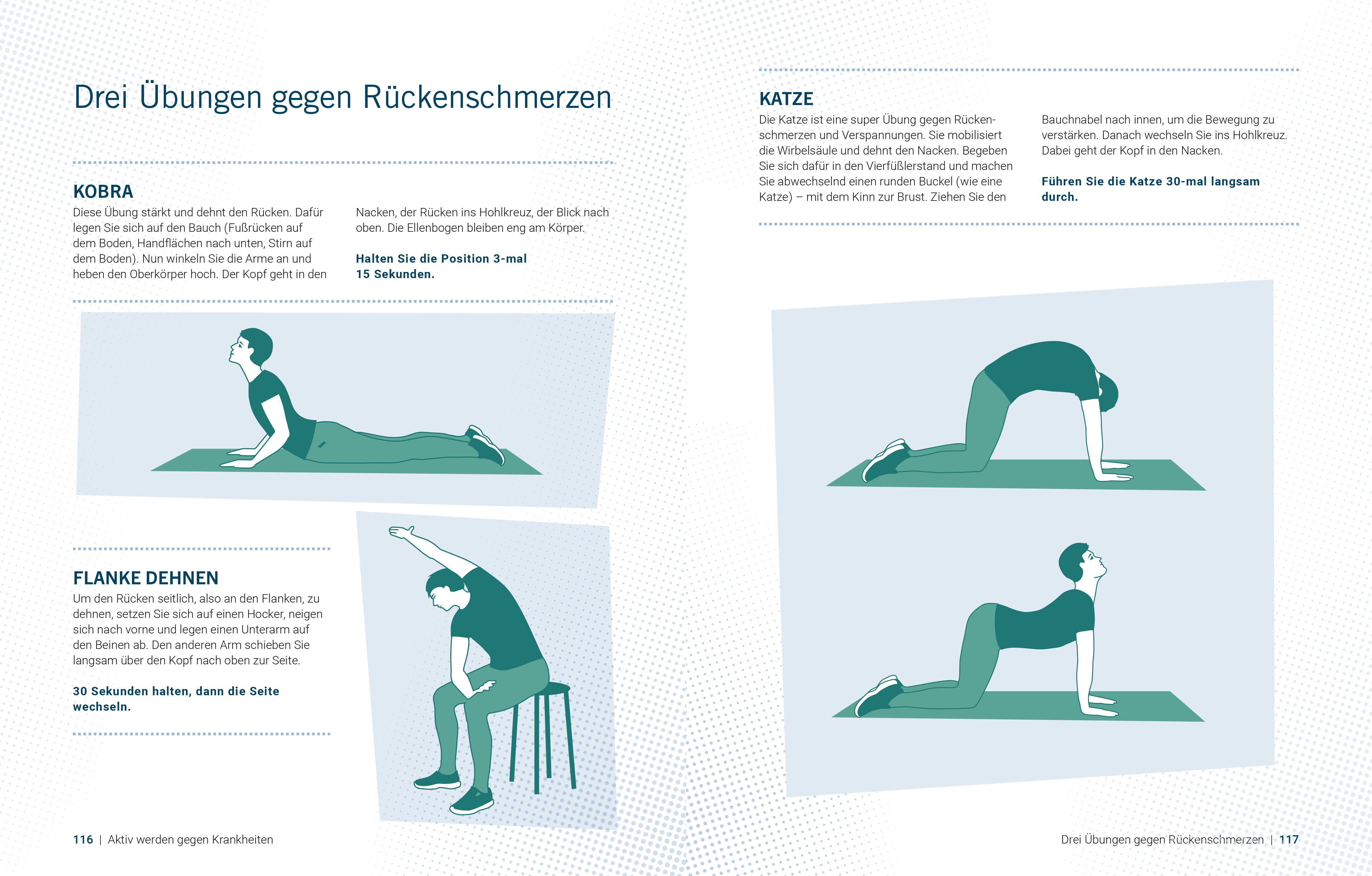 Beispielinhalt (Bild) Die Bewegungs-Docs - Bewegung als Medizin