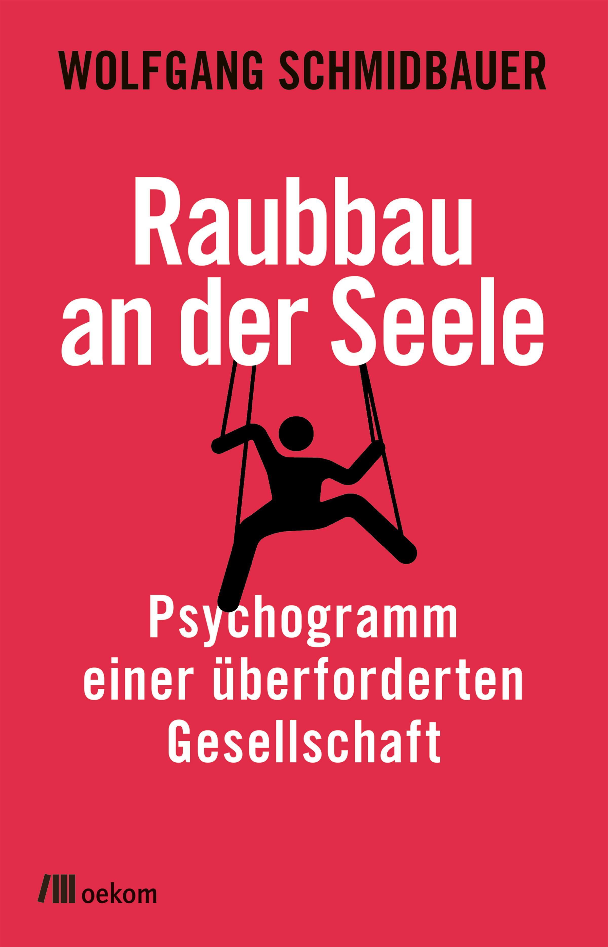Vorderes Coverbild Raubbau an der Seele