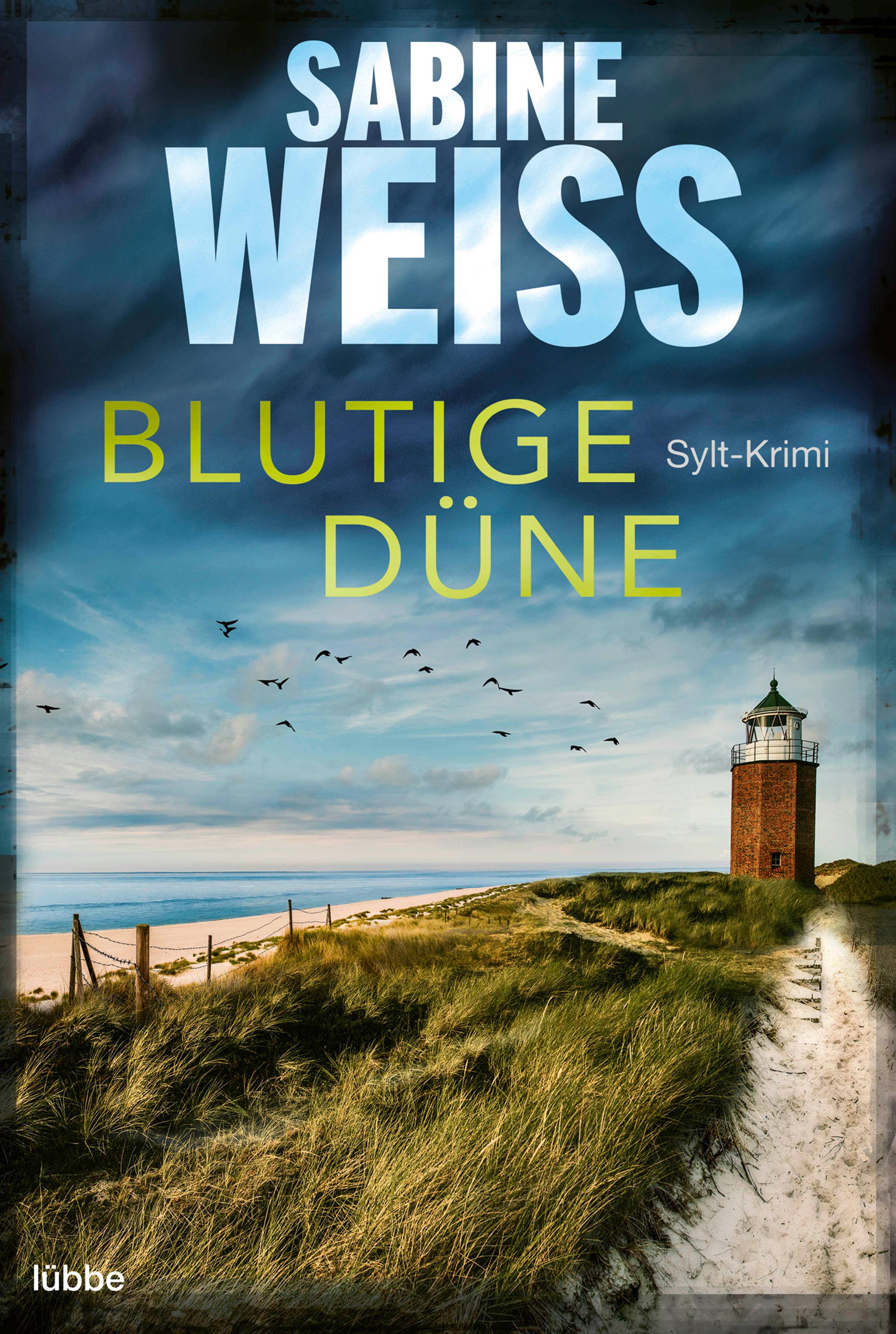 Vorderes Coverbild Blutige Düne