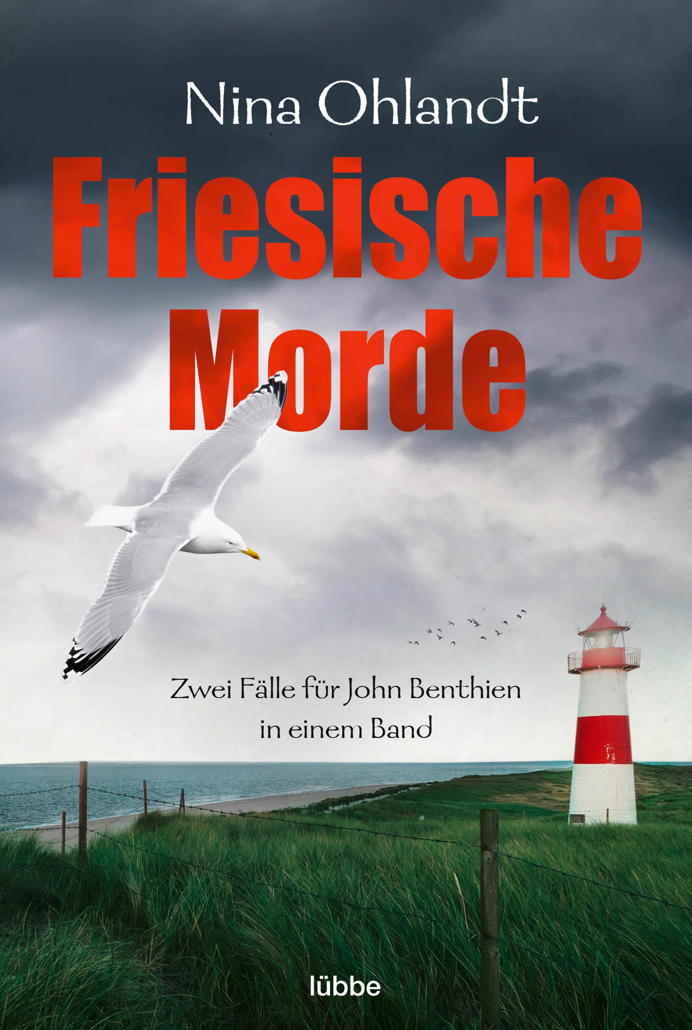 Vorderes Coverbild Friesische Morde