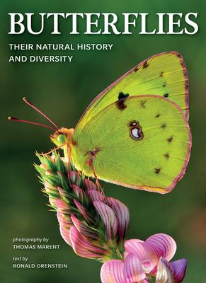 Vorderes Coverbild Butterflies
