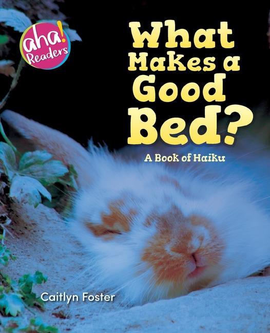 Vorderes Coverbild What Makes a Good Bed?